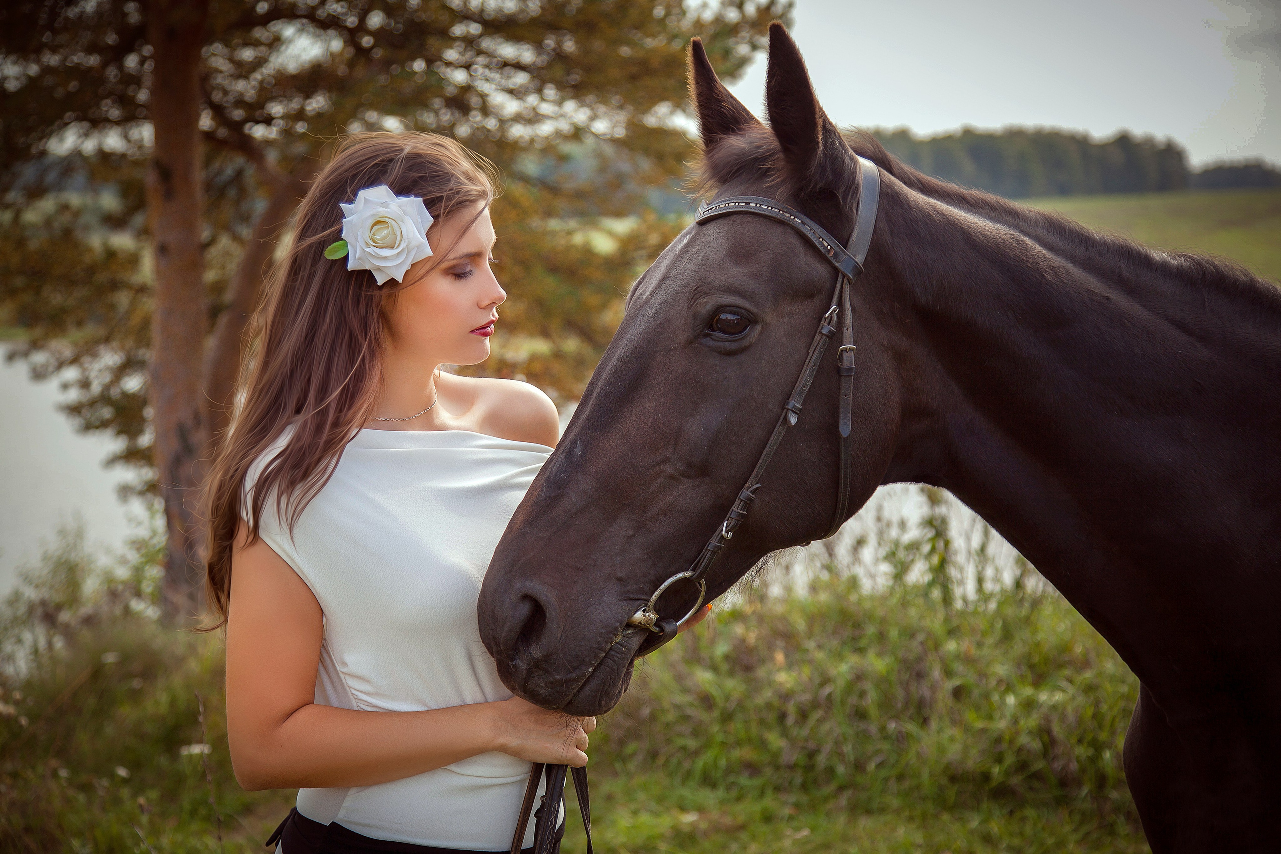 Фотосессия с лошадьми. Фотограф Мария Кольцова