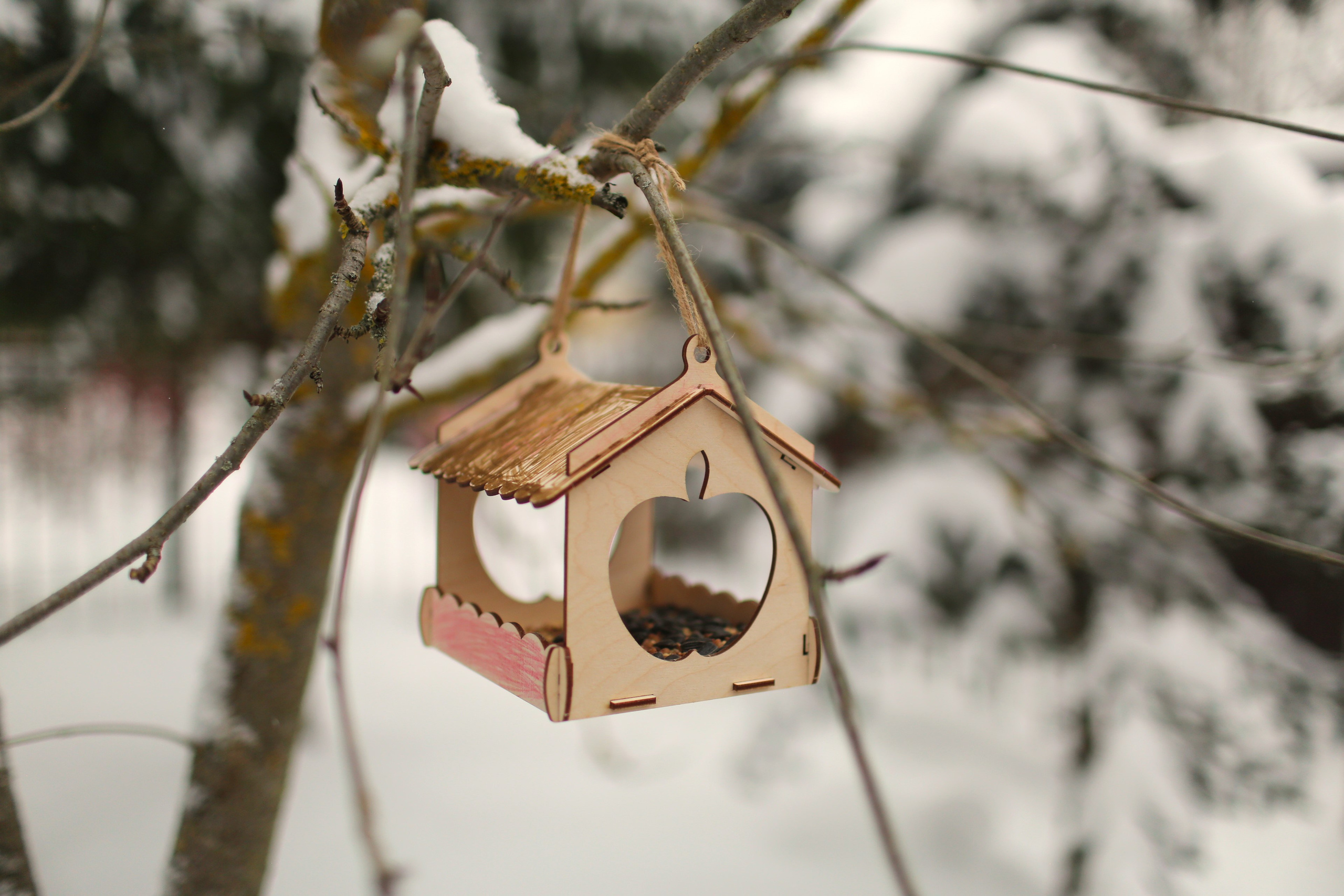Конструирование кормушек в Воскресной школе. Фотограф Антонина Гудкова