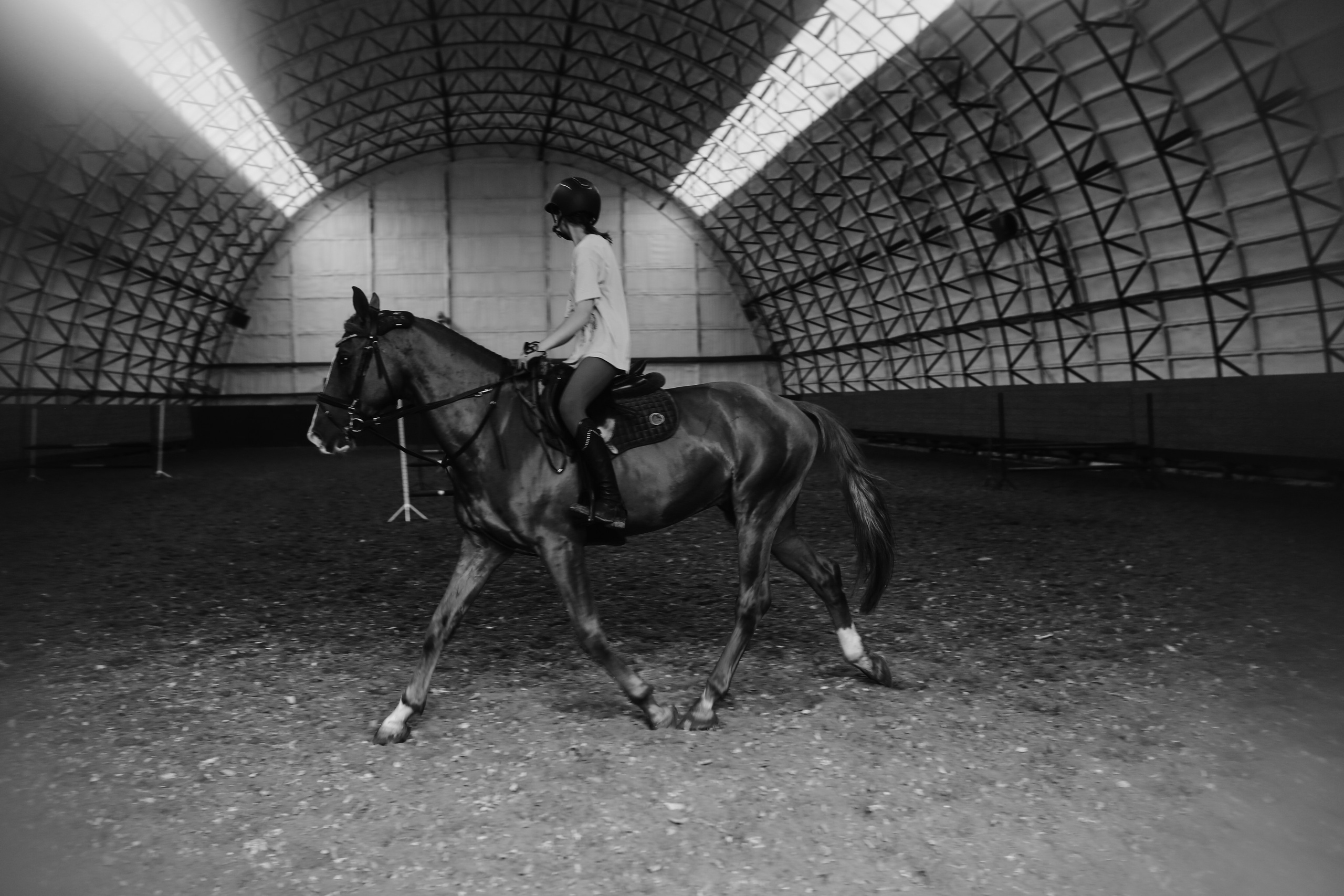 In a horse club NIMB. Фотограф Антонина Гудкова