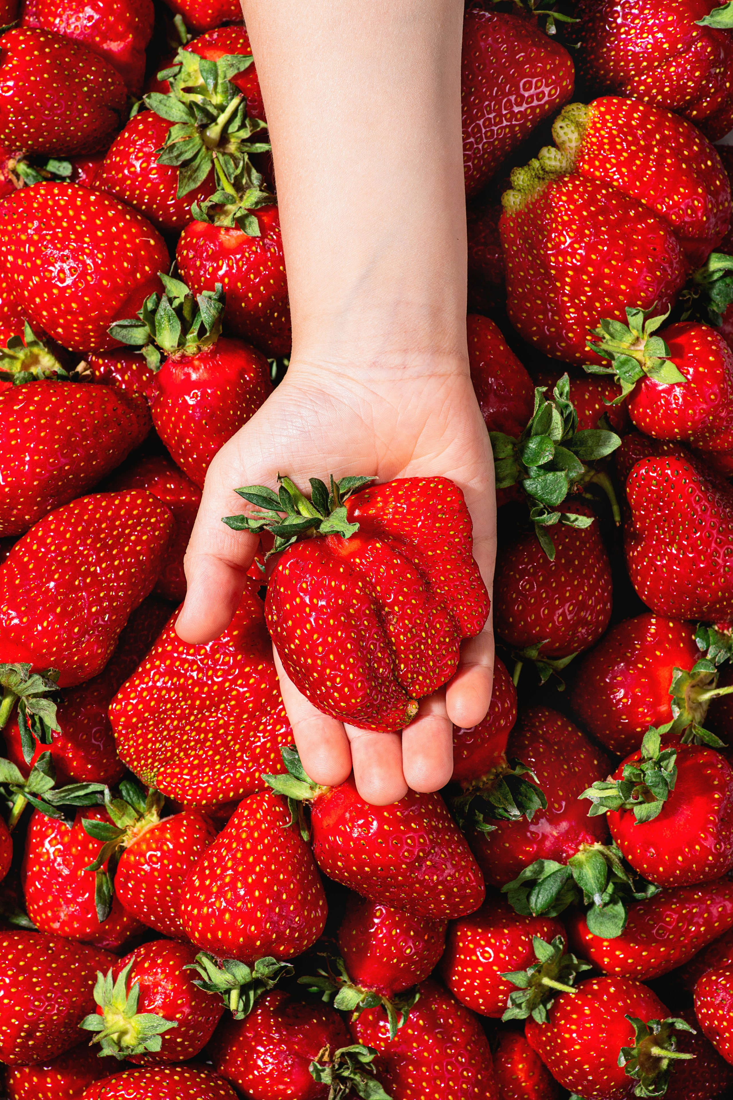 Дарья Шаталова. Предметный и фуд-фотограф Мытищи|Москва