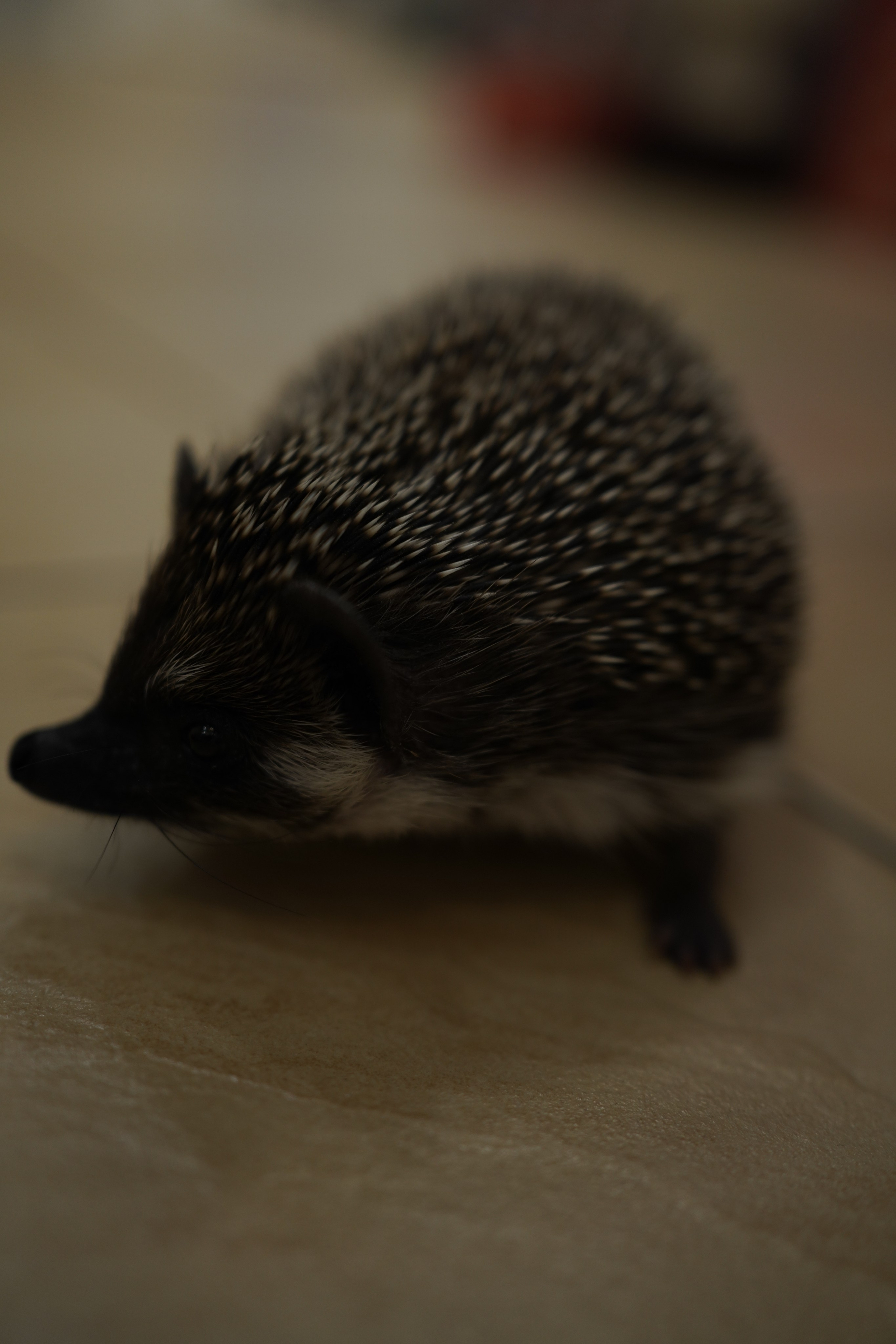 НГ 2020. Заставка