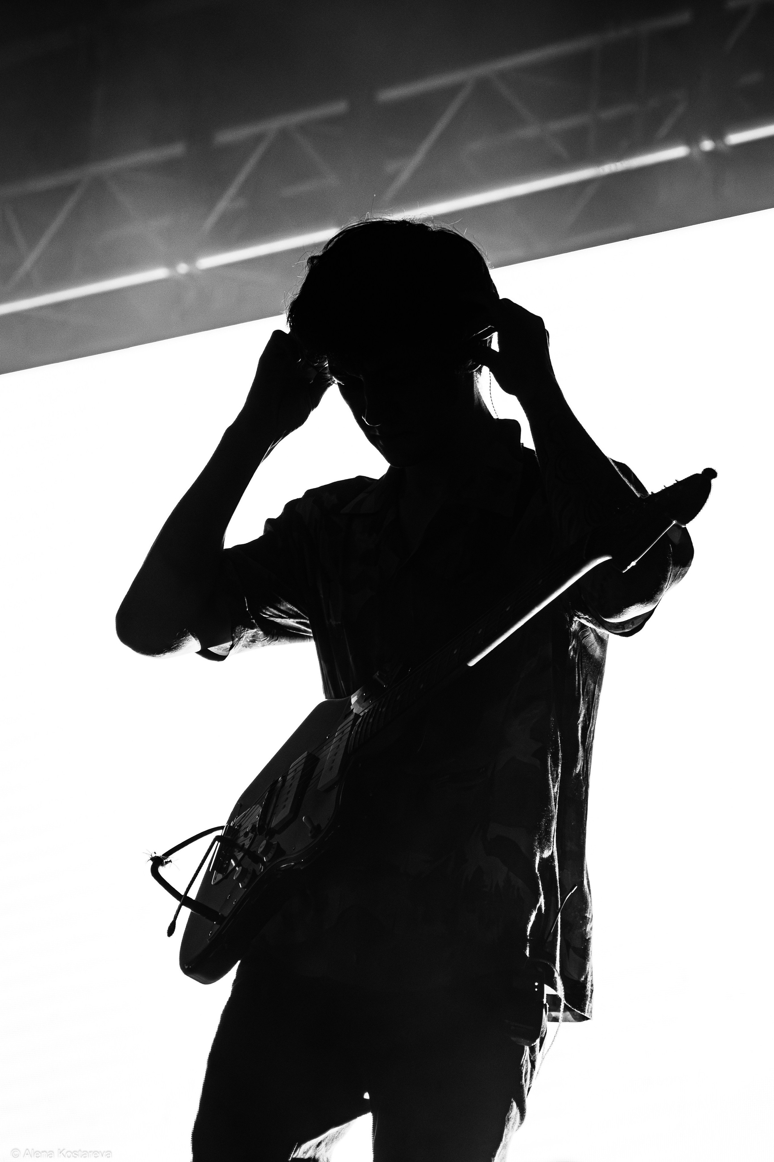 Dolphin. Алена Костарева. Фотограф в Ростове-на-Дону