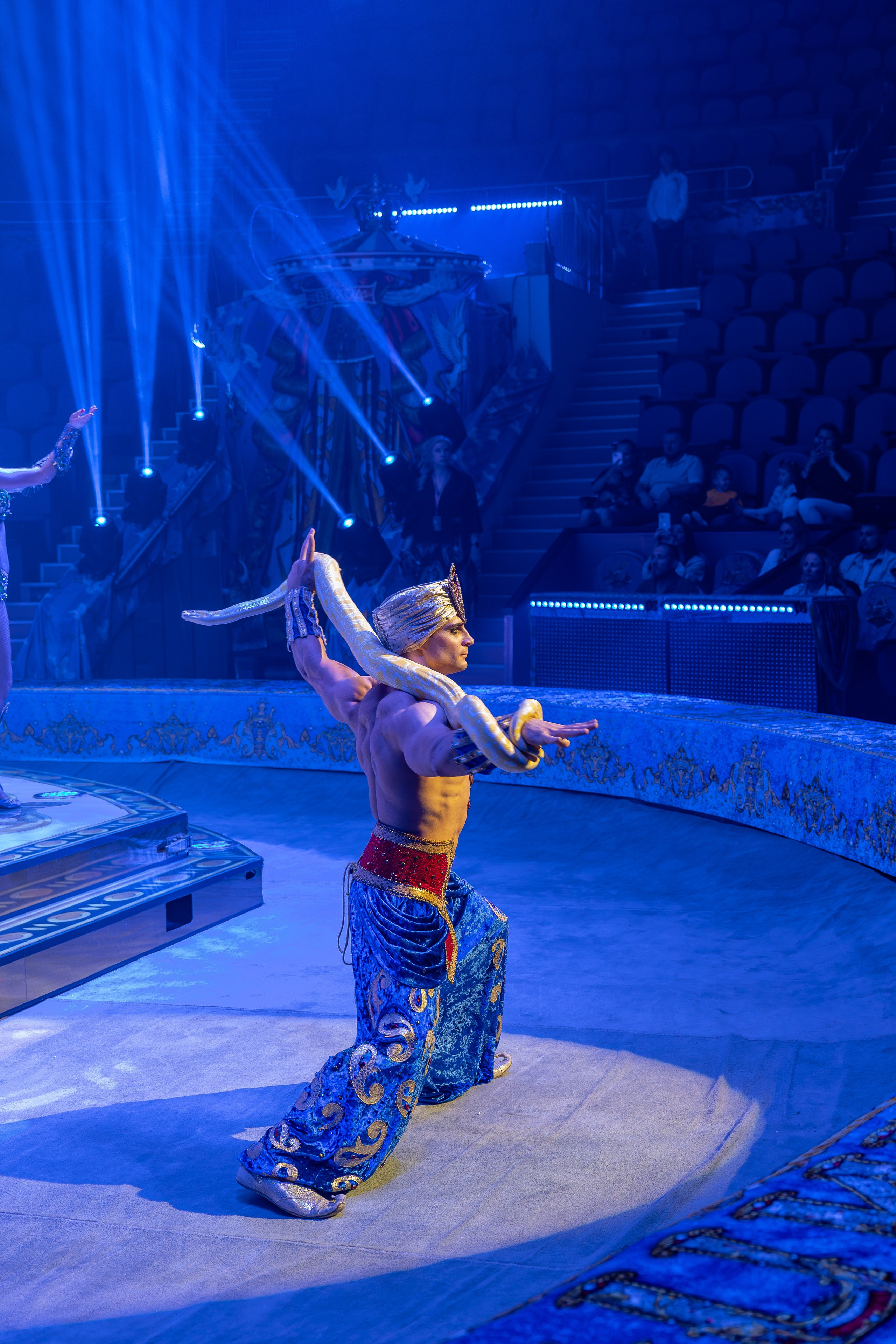 Цирк Гии Эрадзе. Наталья Слесаренко фотограф в Сочи