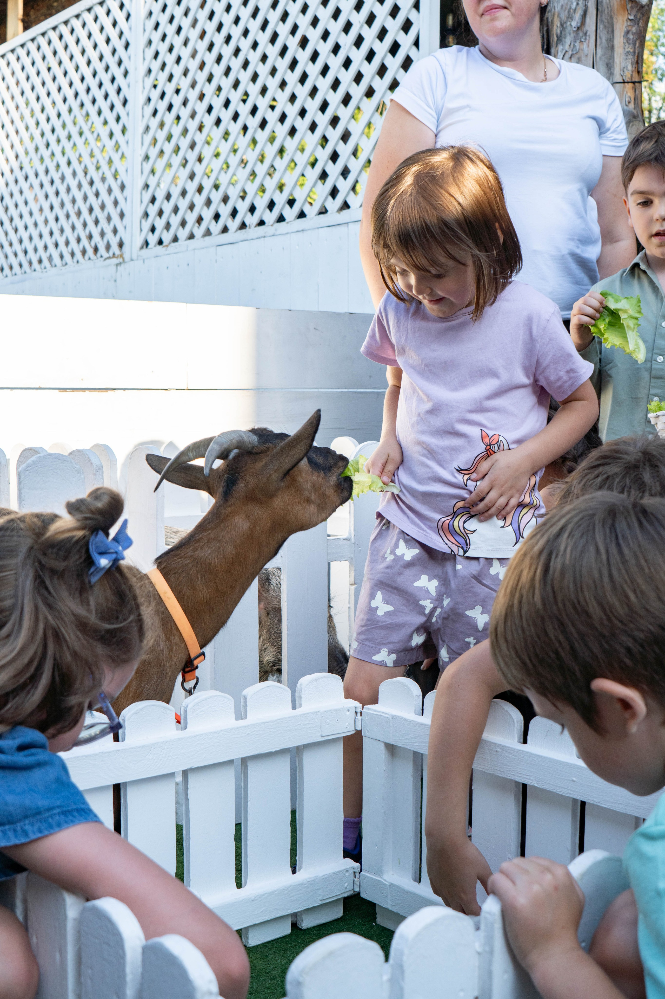 Репортажная съёмка. Фотограф и видеооператор Кривов Павел