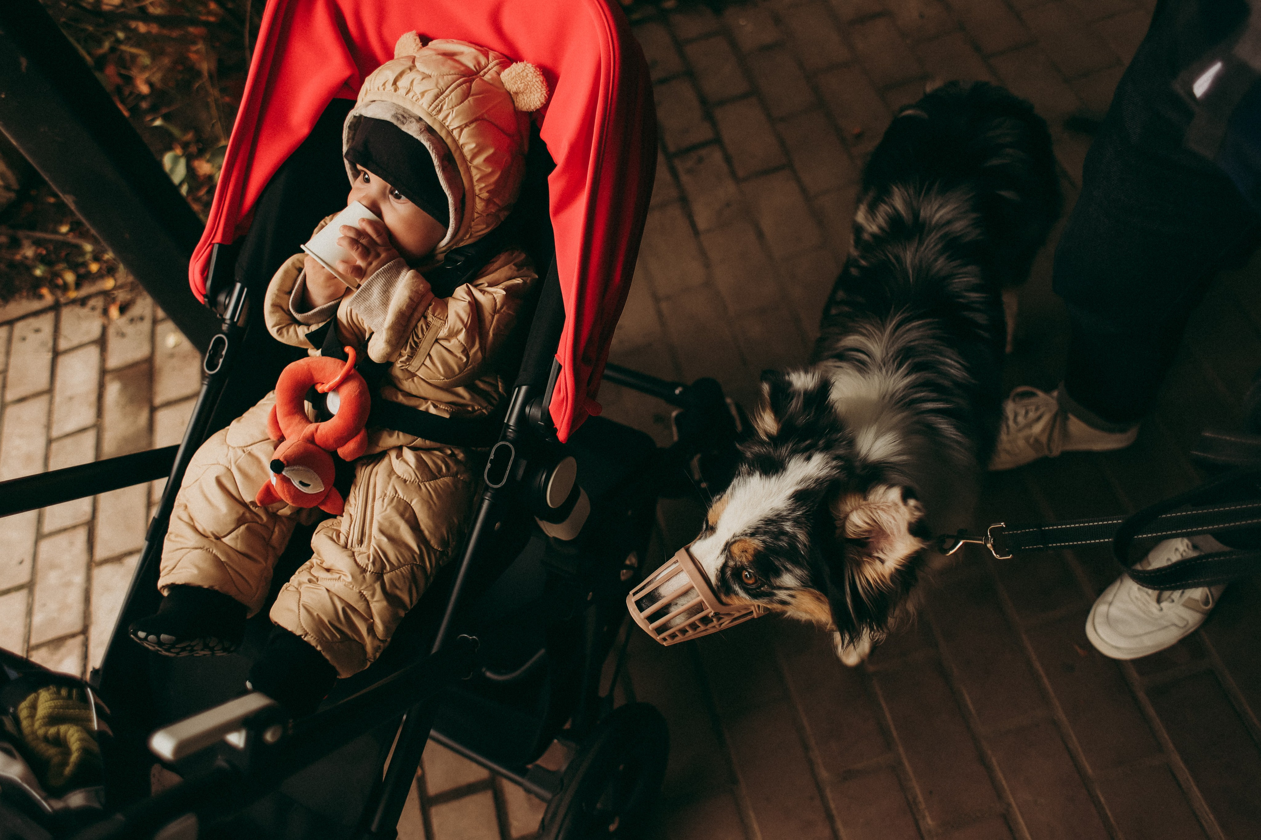 Натали и семья. Фотограф Москва и Санкт-Петербург