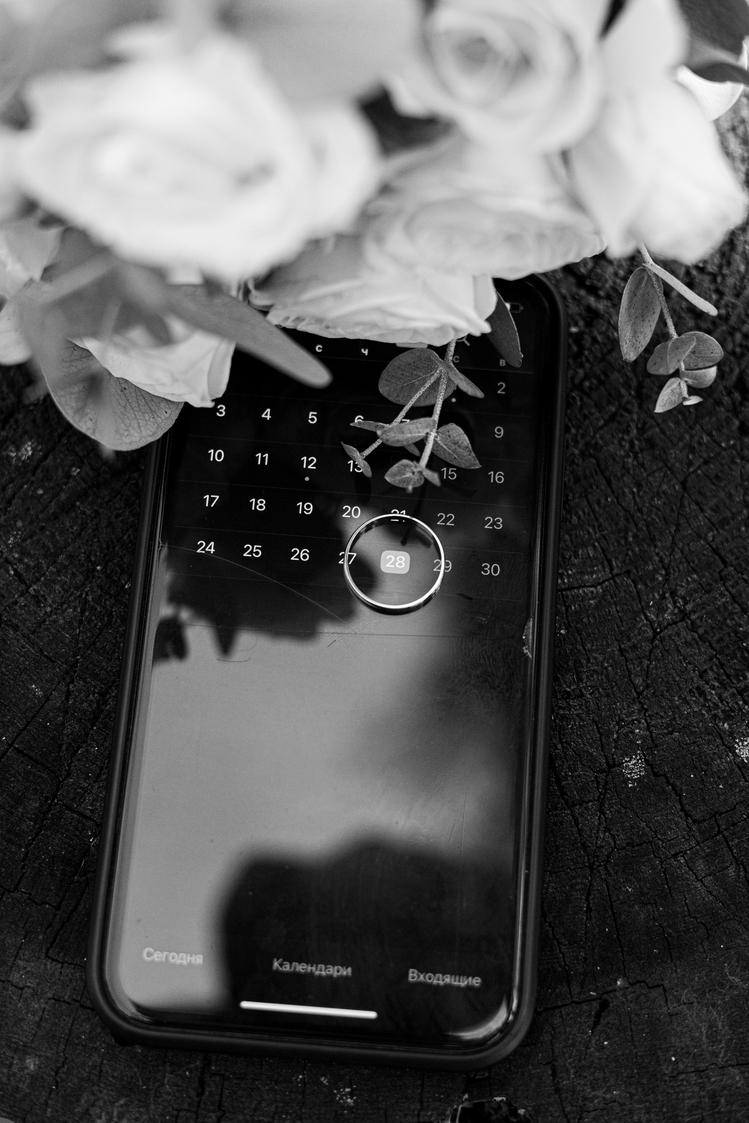 Фотограф Москва и Область