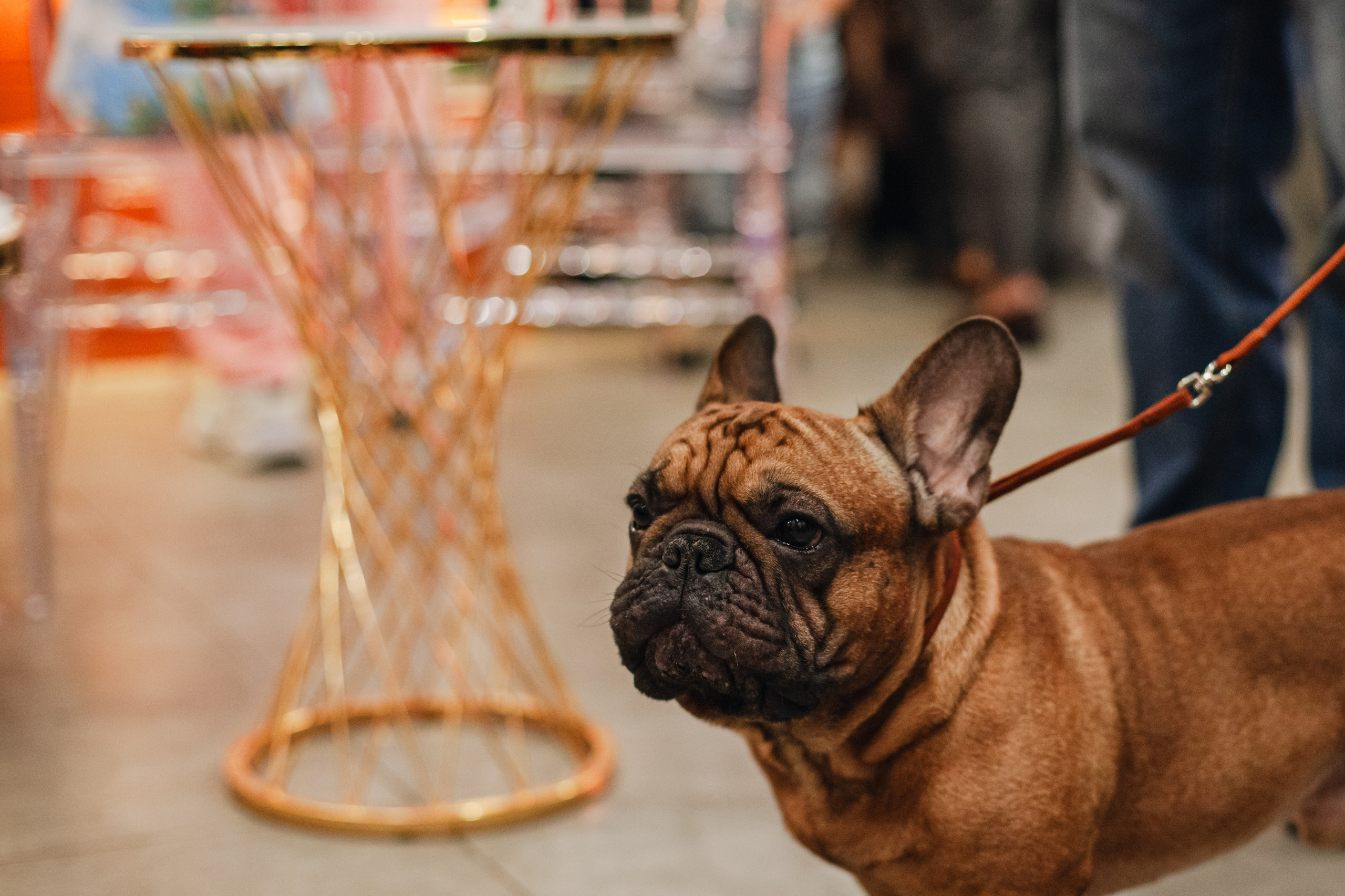 Бульёлка 2024. Фотограф-анималист Татьяна Степанова