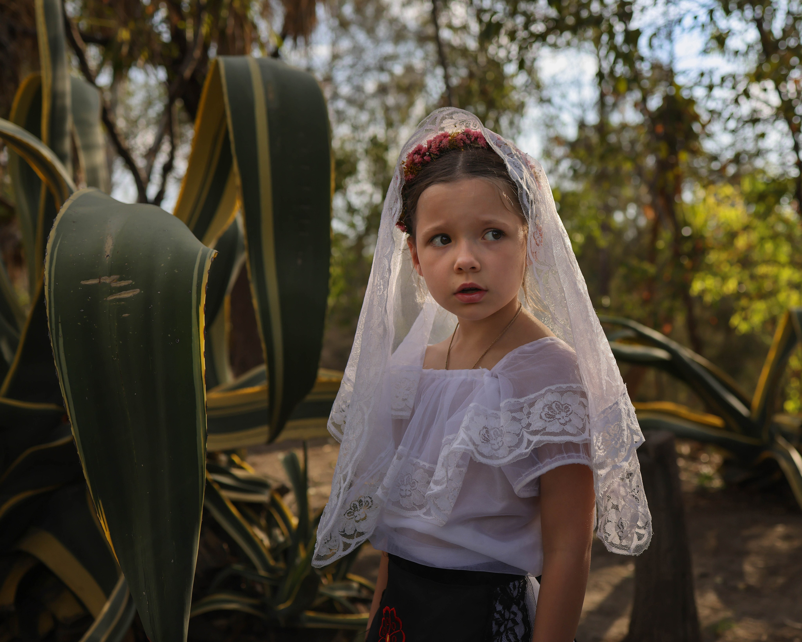 Мексика. Kateserbina