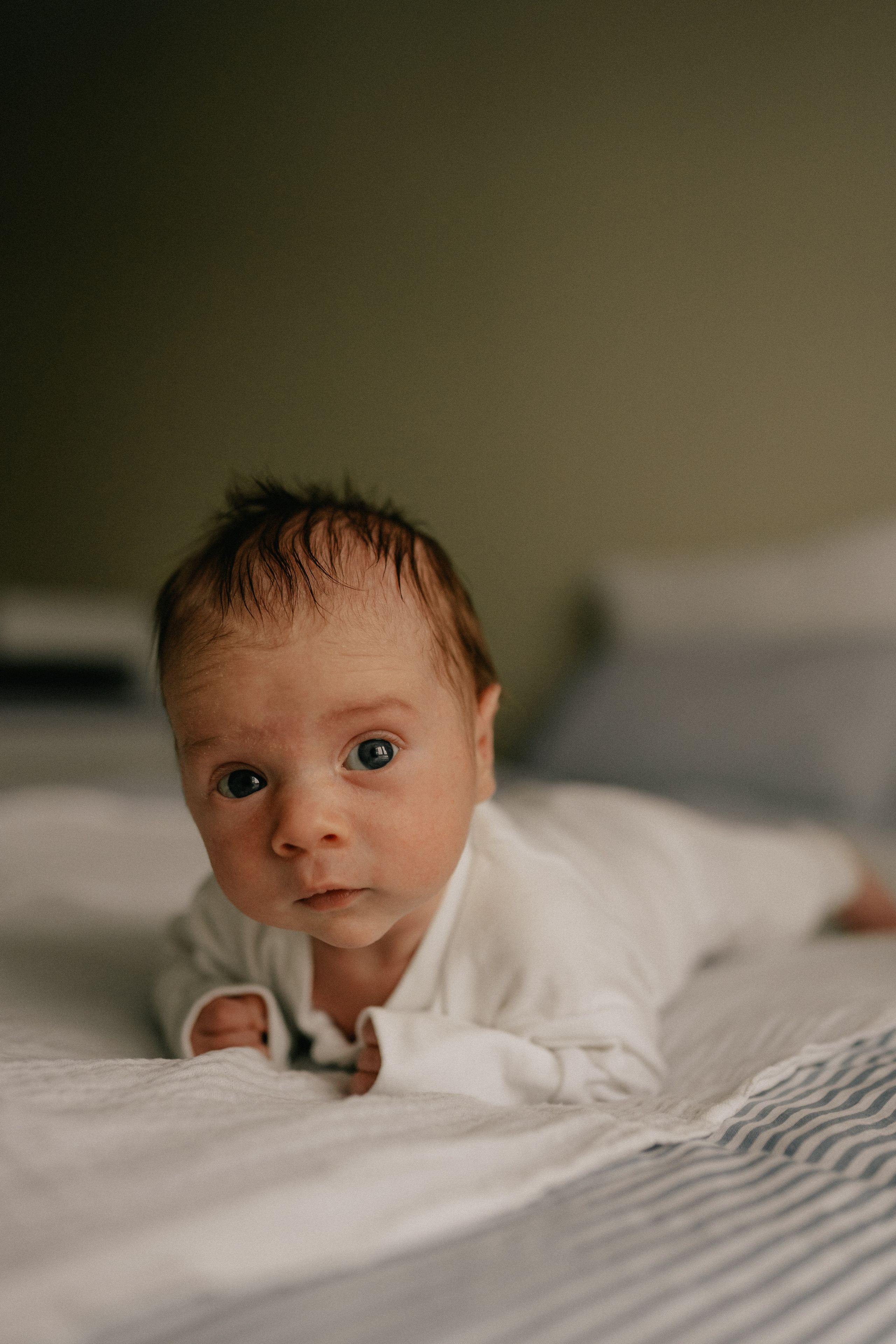 Даша, Ваня, Лео. Семейный фотограф Москва