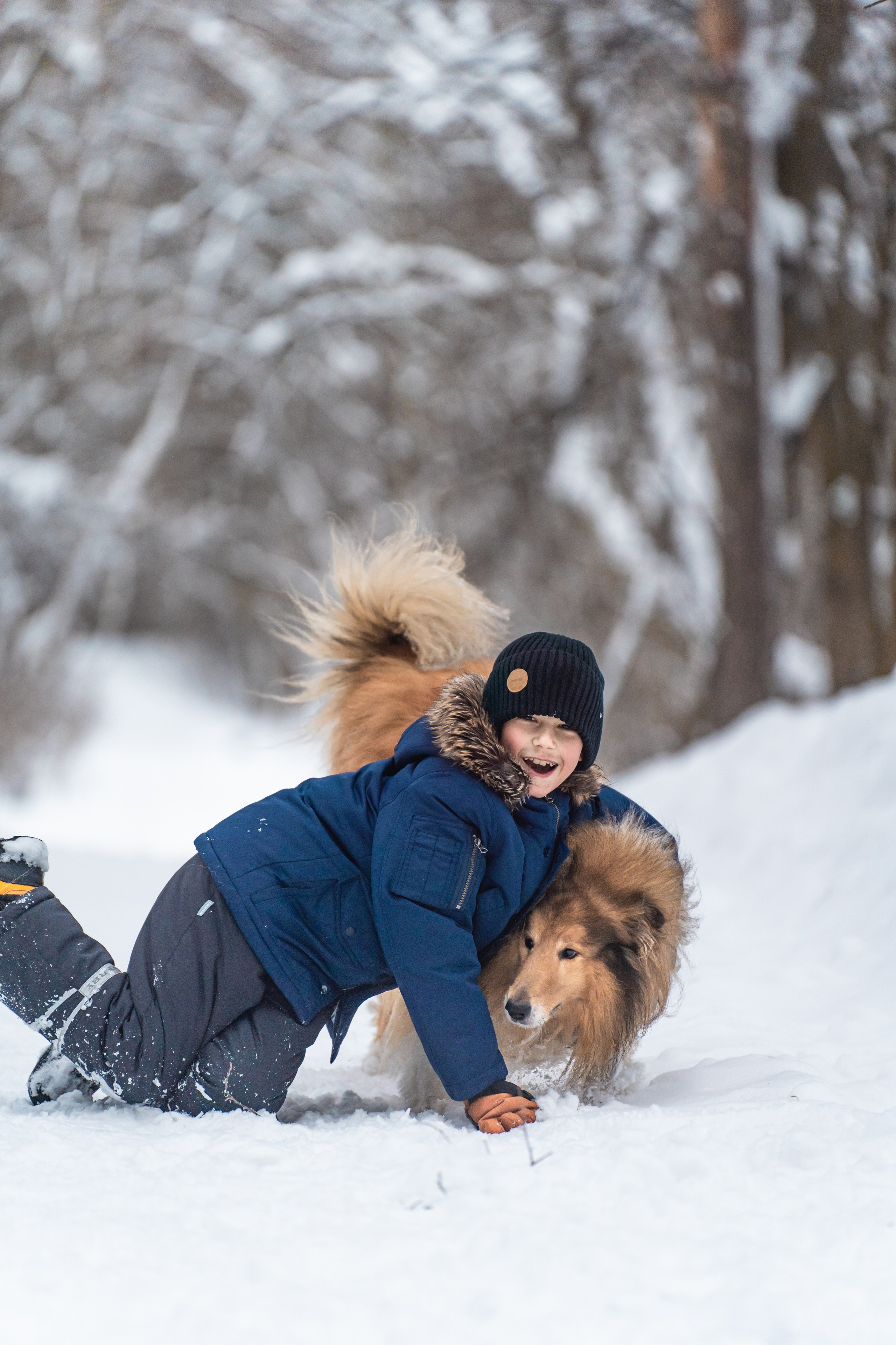 Елена, Виктор, Никита и колли Рафаэль. Фотограф в Москве Ленарская Дарья