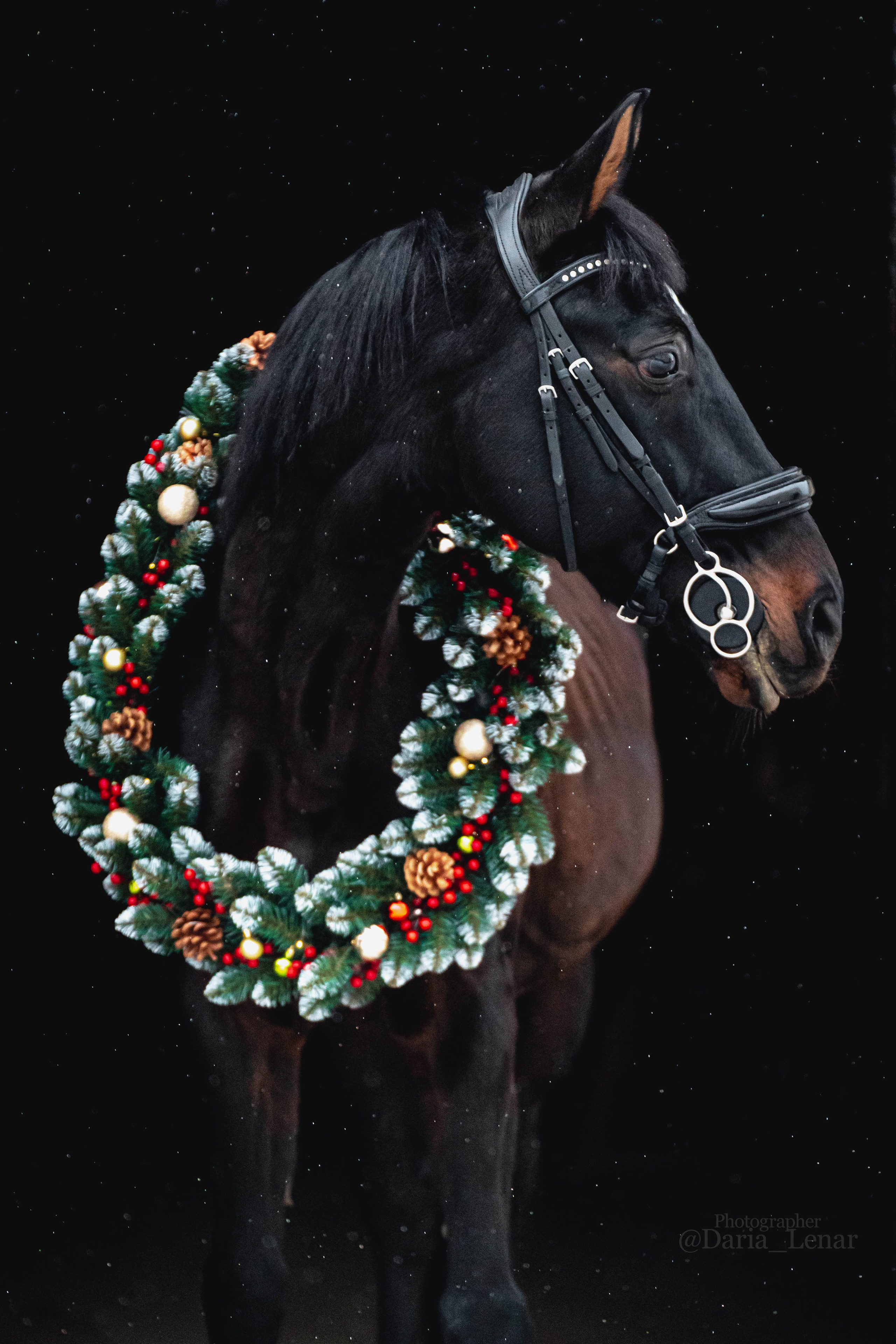 Новогодний венок. Фотограф в Москве Ленарская Дарья