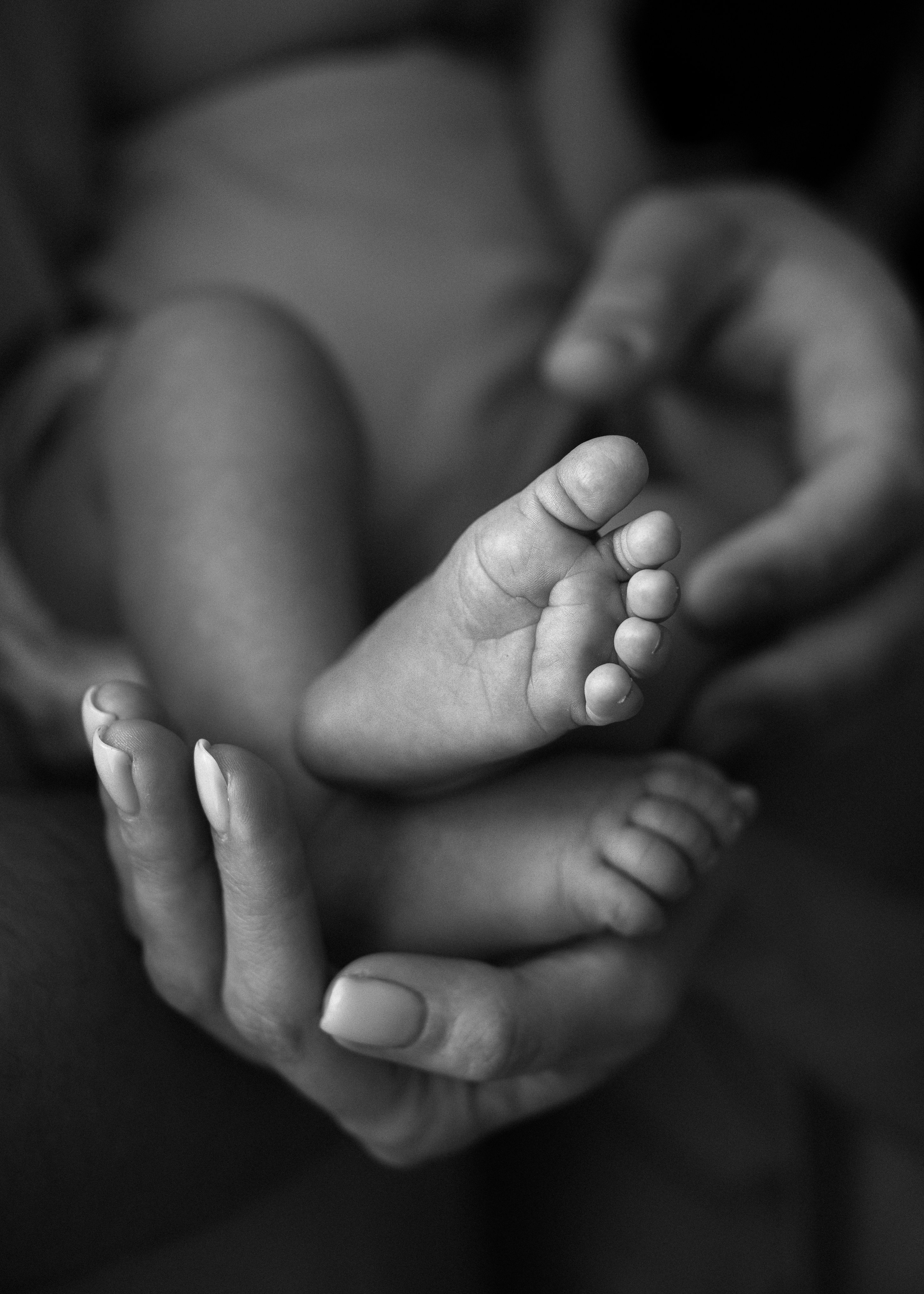 Диана (newborn natural). Семейный фотограф в Москве Наталья Капитонова