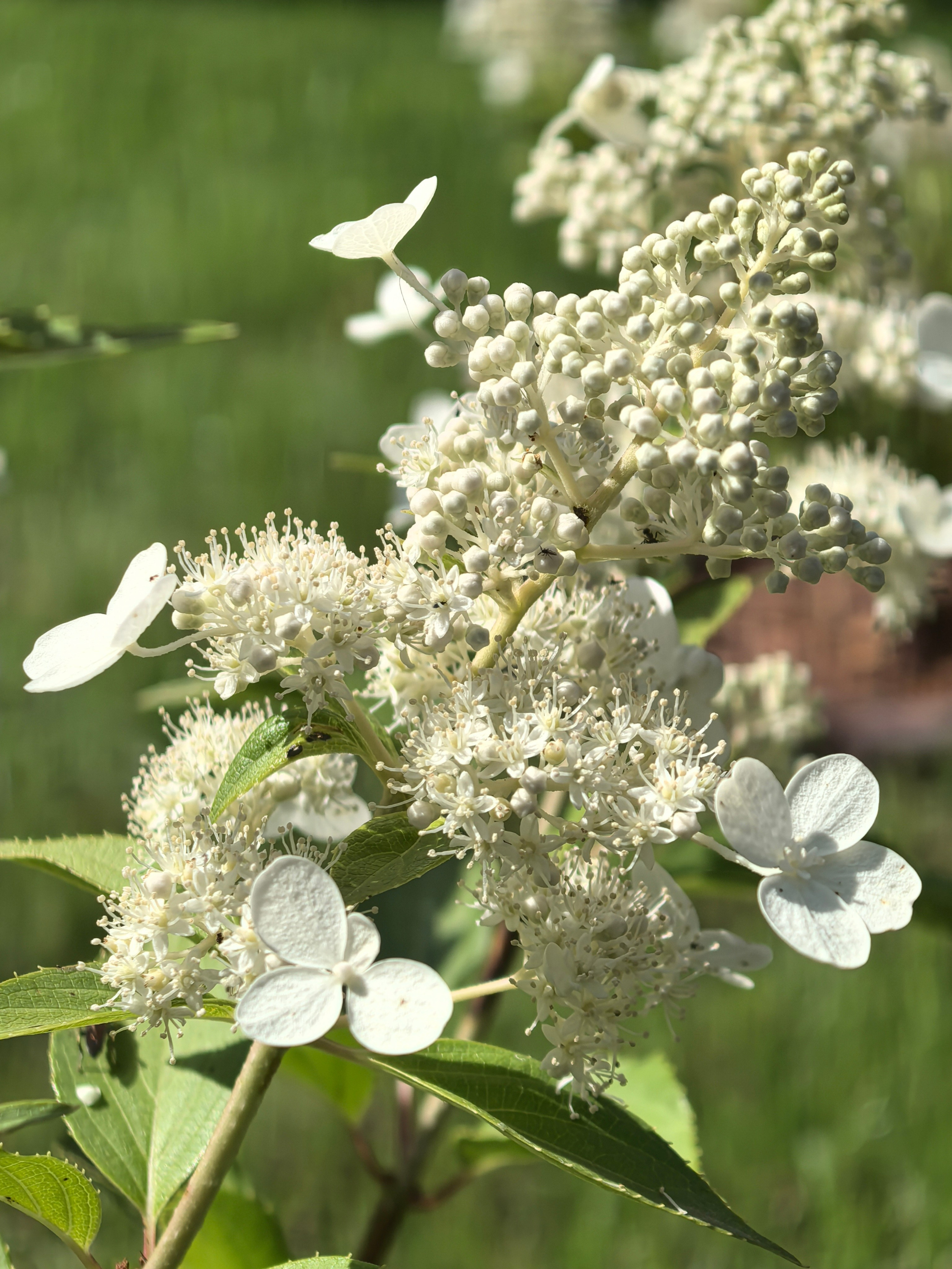 Чудесная природа. Школьные выпускные альбомы в Москве Марина Николаева