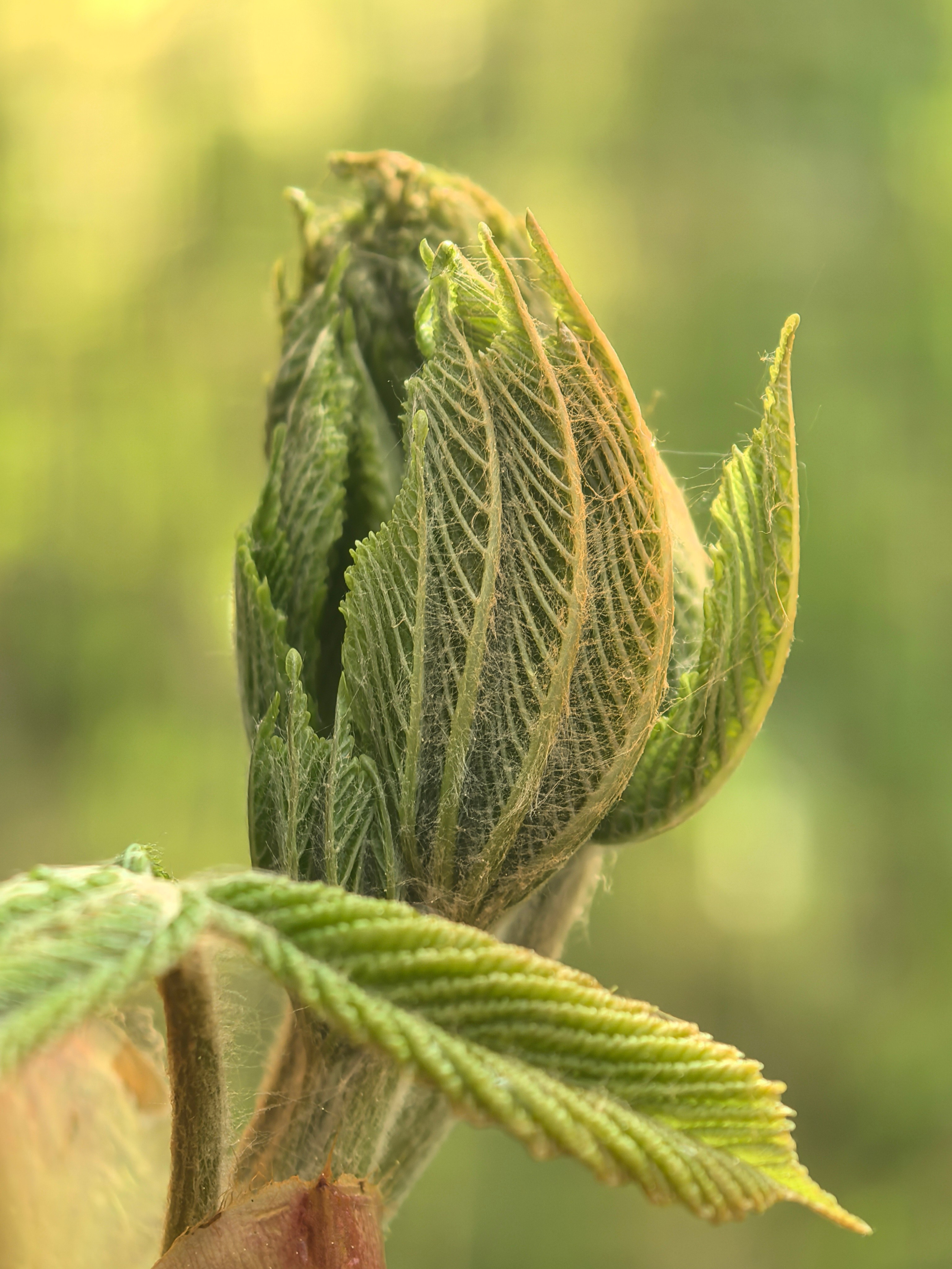 ПочтиМАКРО. Школьные выпускные альбомы в Москве Марина Николаева