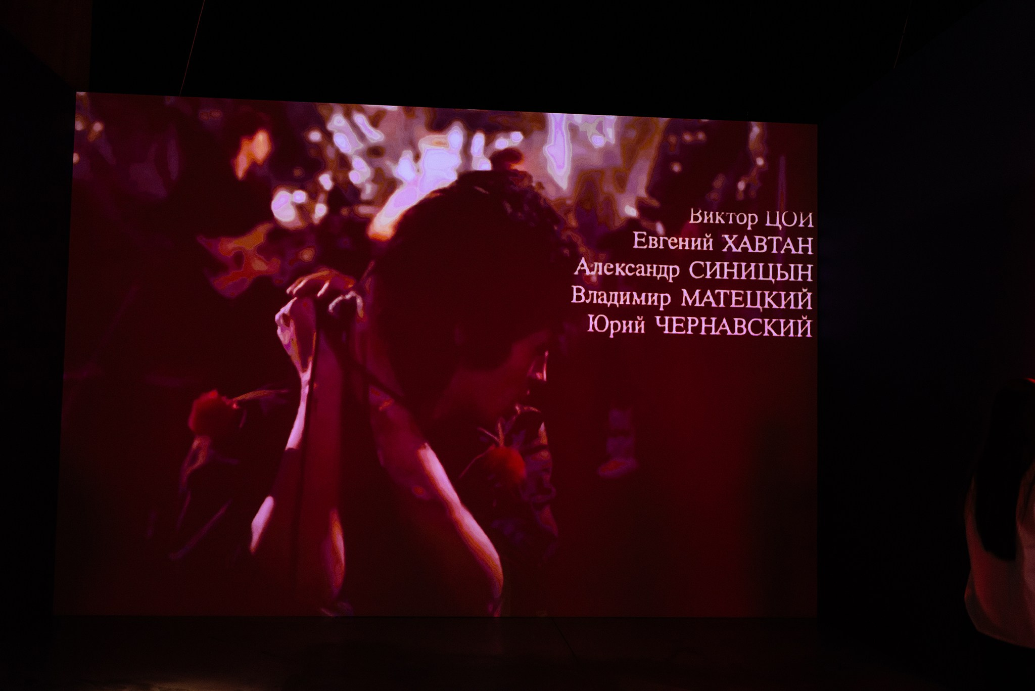 Выставка Виктор Цой. Легенда. Ноябрь 24. Репортажный фотограф в Санкт-Петербурге Анастасия Клёпова