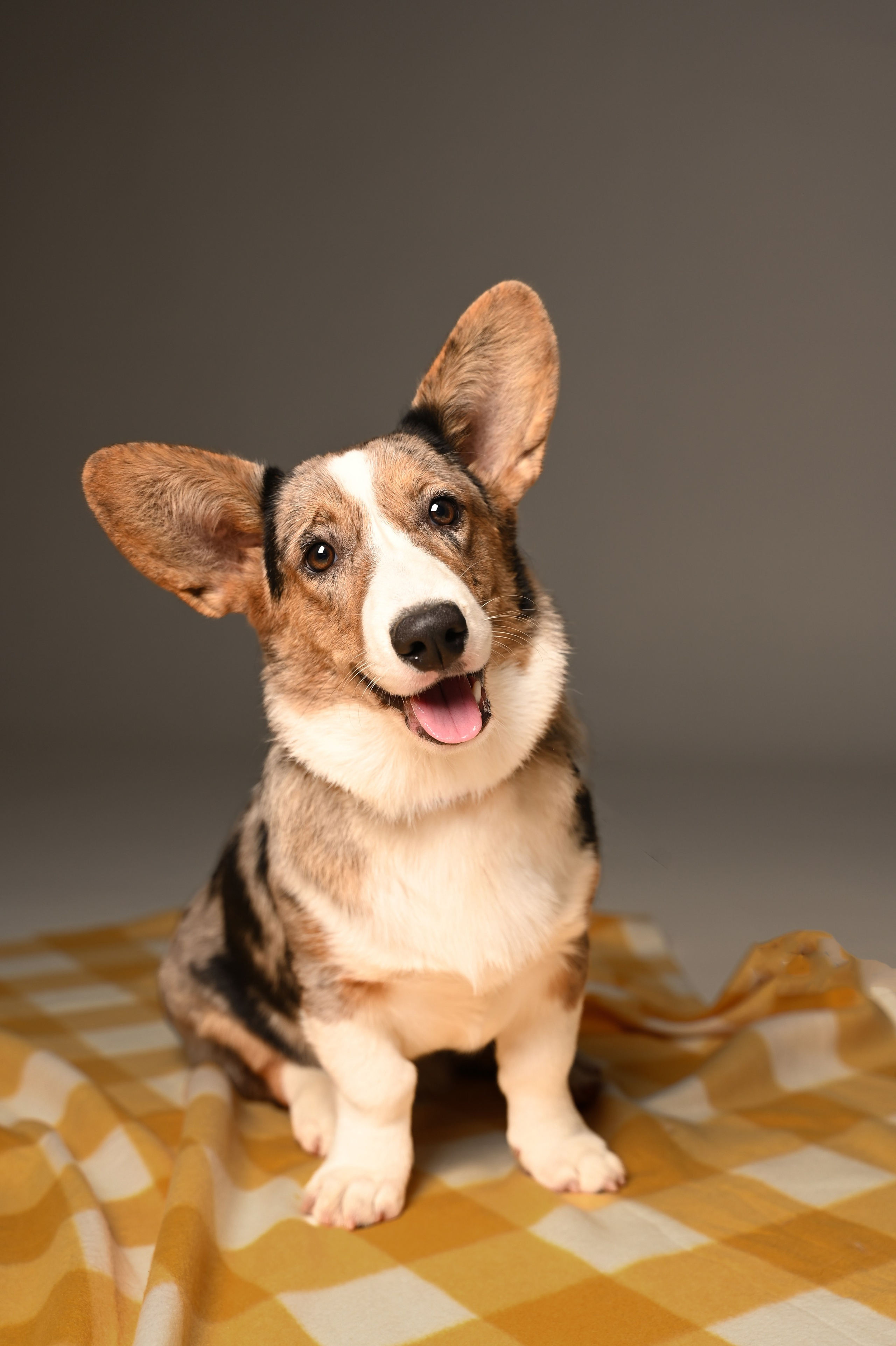 Анонсы. Фотограф Темрюк Анастасия Фёдорова