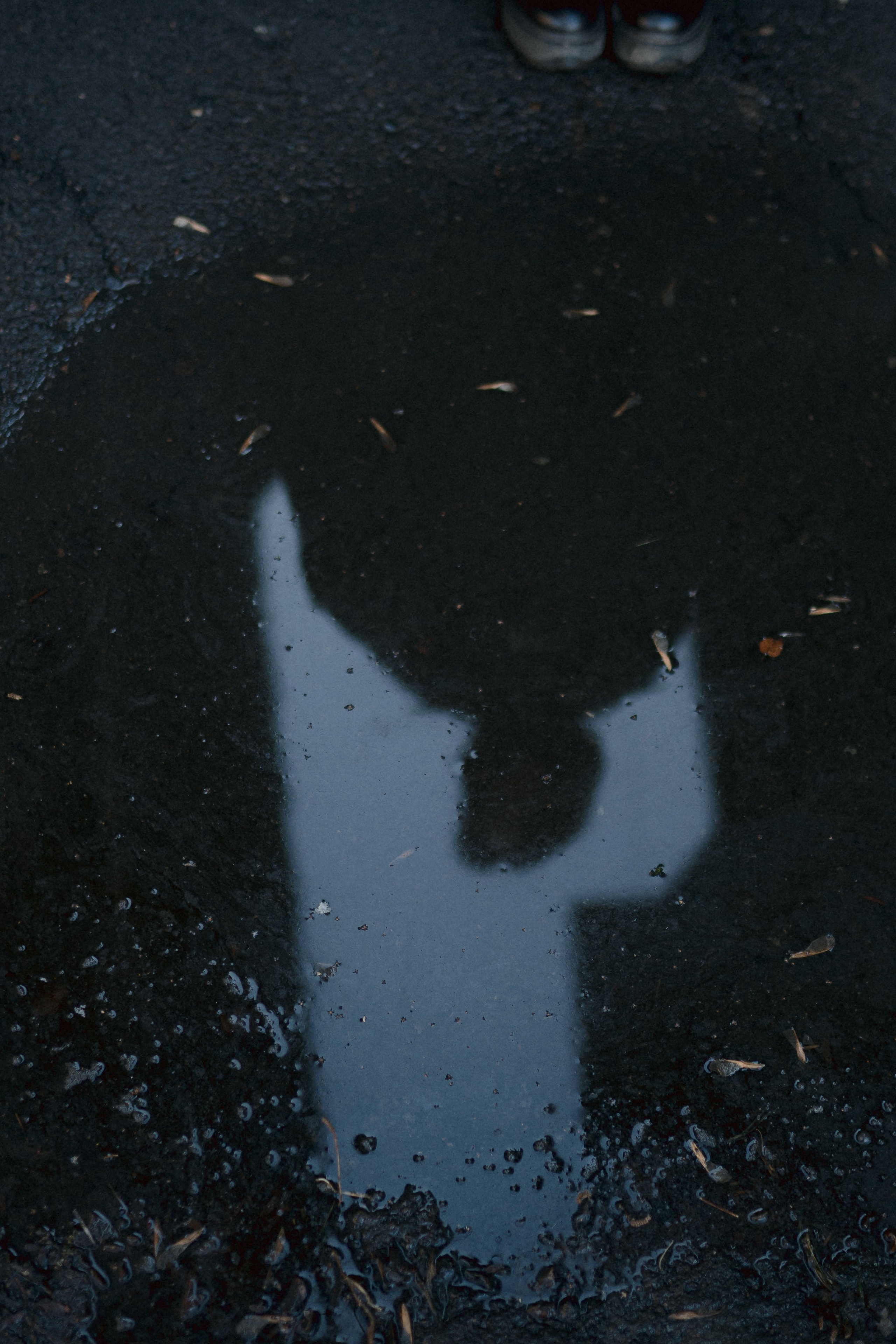 Фотографии. Фотограф Иркутск