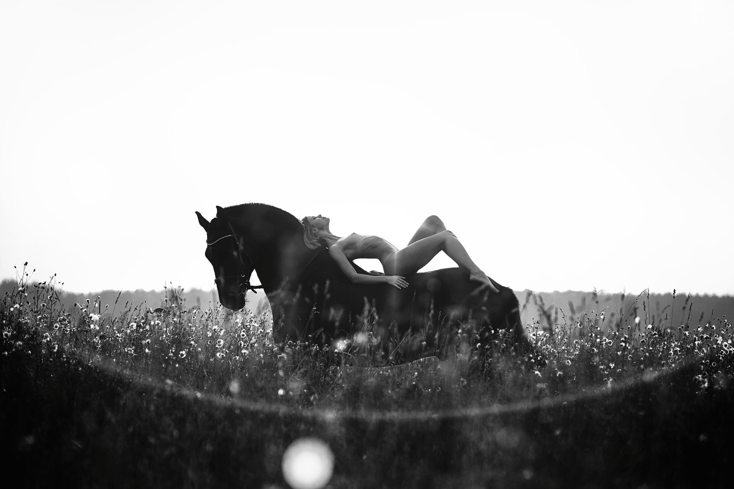 "Утро в деревне". Photographer for business Mikhail Semenov. Aqua photo studio, photo school