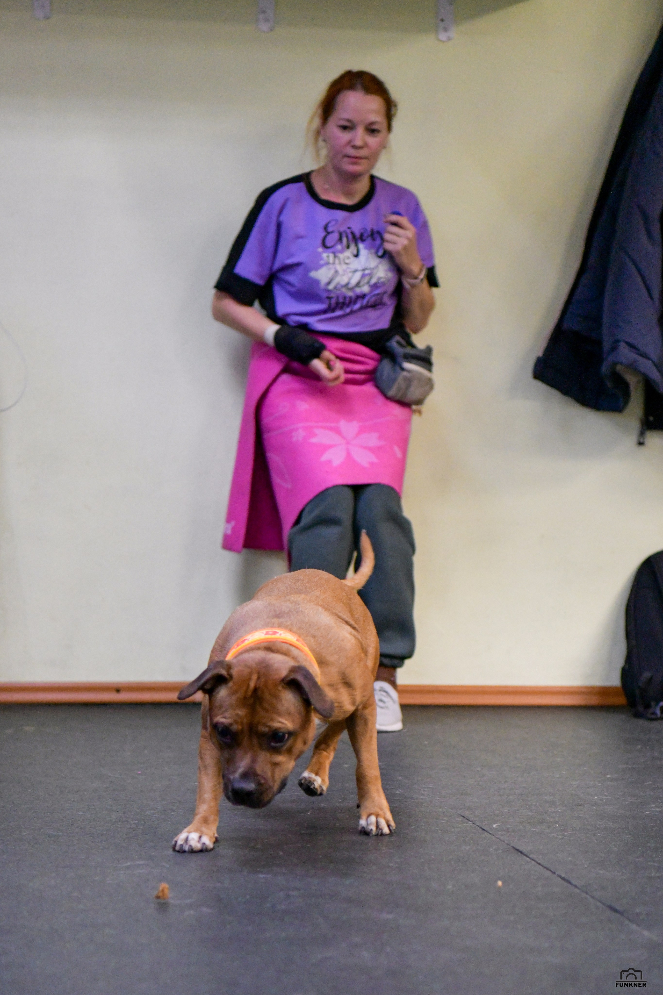 Кинологический клуб «Бодрый хвост». Свой взгляд через объектив