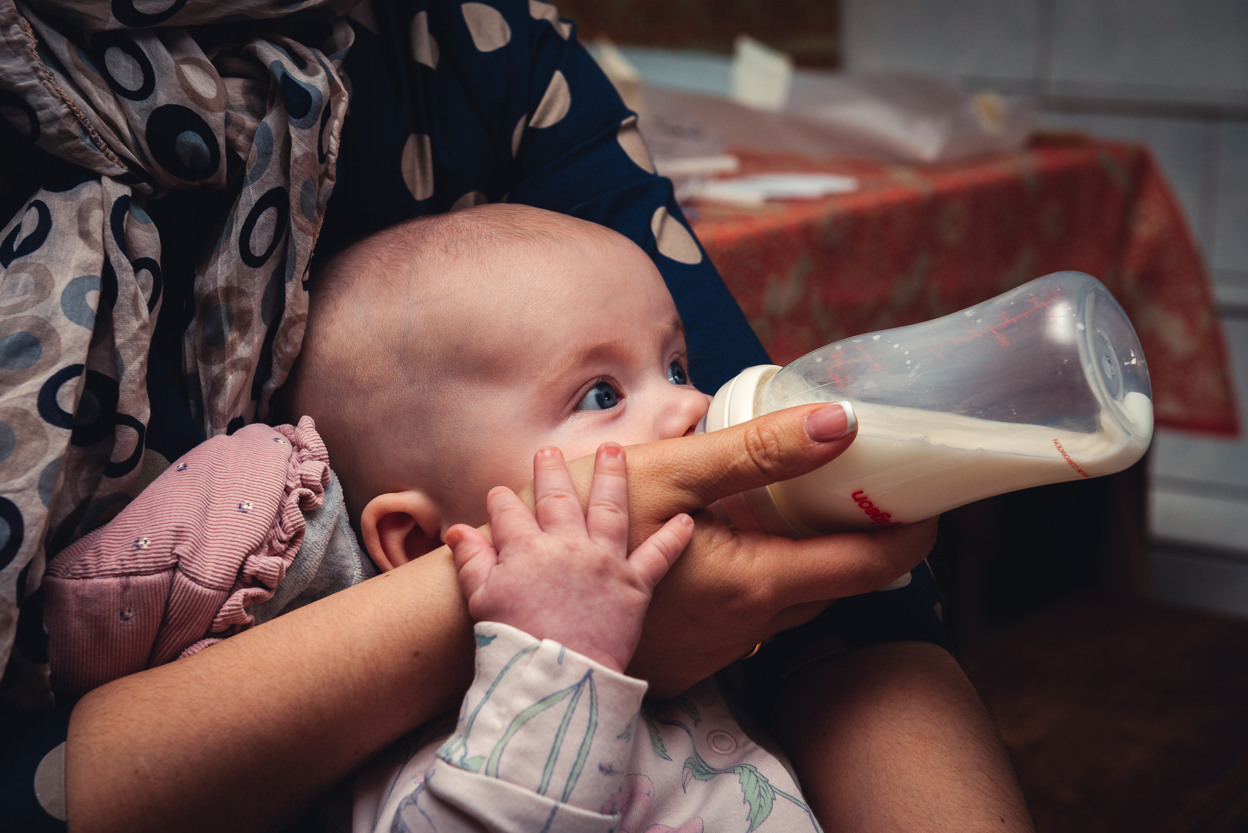 Кира. Фотограф Павел Шубин, Сергиев Посад