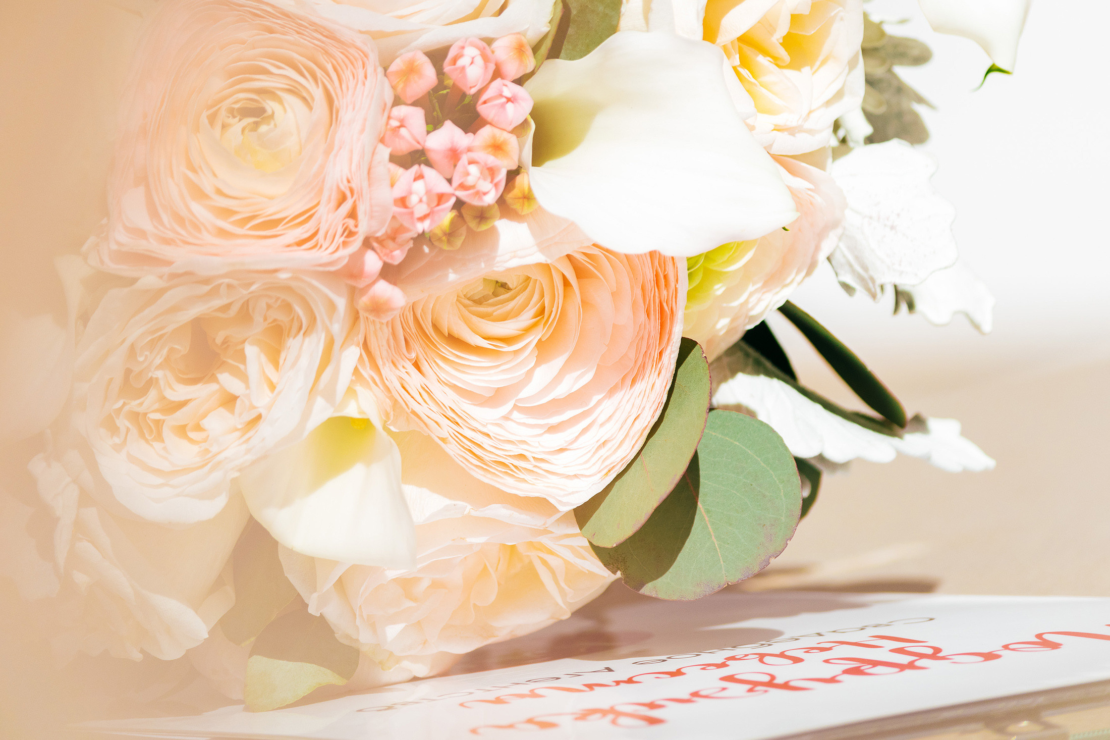 Антон и Татьяна. Фотограф Павел Шубин, Сергиев Посад