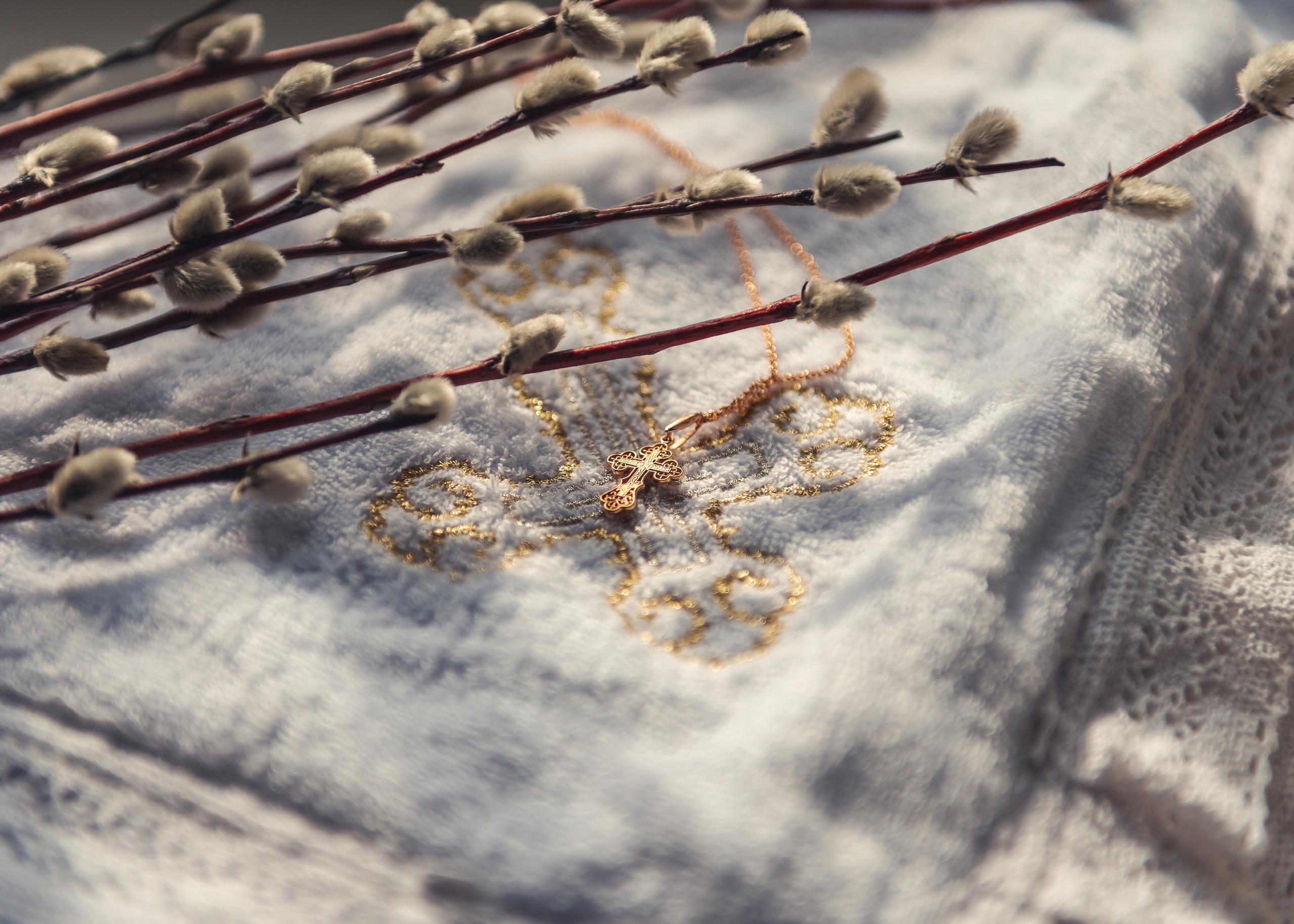Кира. Фотограф Павел Шубин, Сергиев Посад