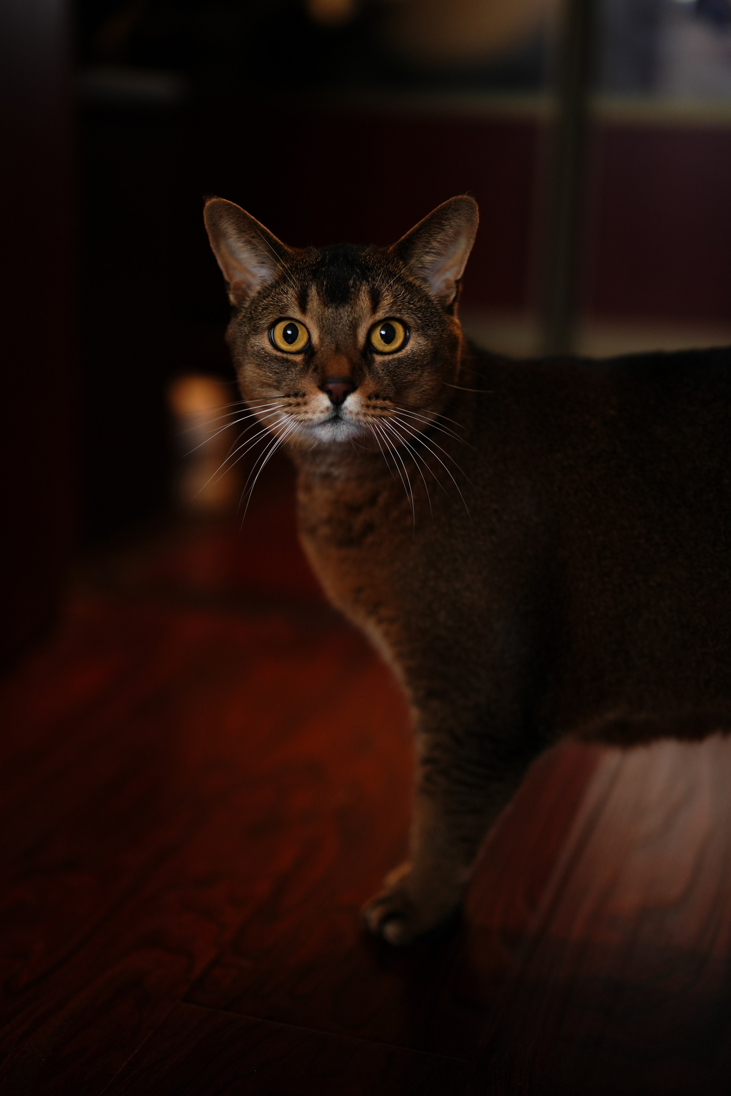 Newborn фотосессия. Семейный и детский фотограф в Зеленограде Коваленко Дарья. Съемка праздников и выпускных, дней рождений