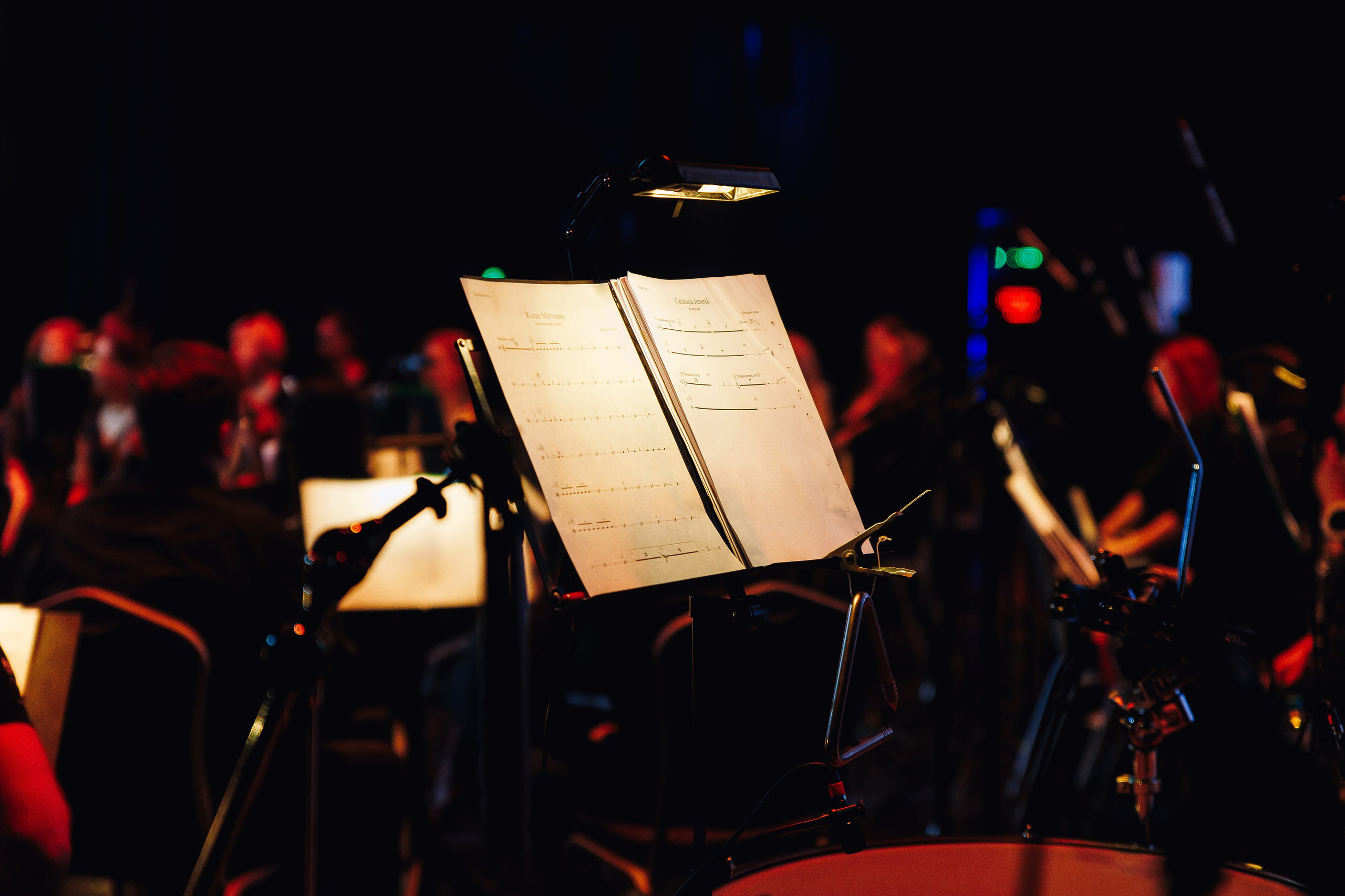 Symphony of the cinema (Turkish TV series) at Amber Hall. KRIS KRUPINNIKOVA