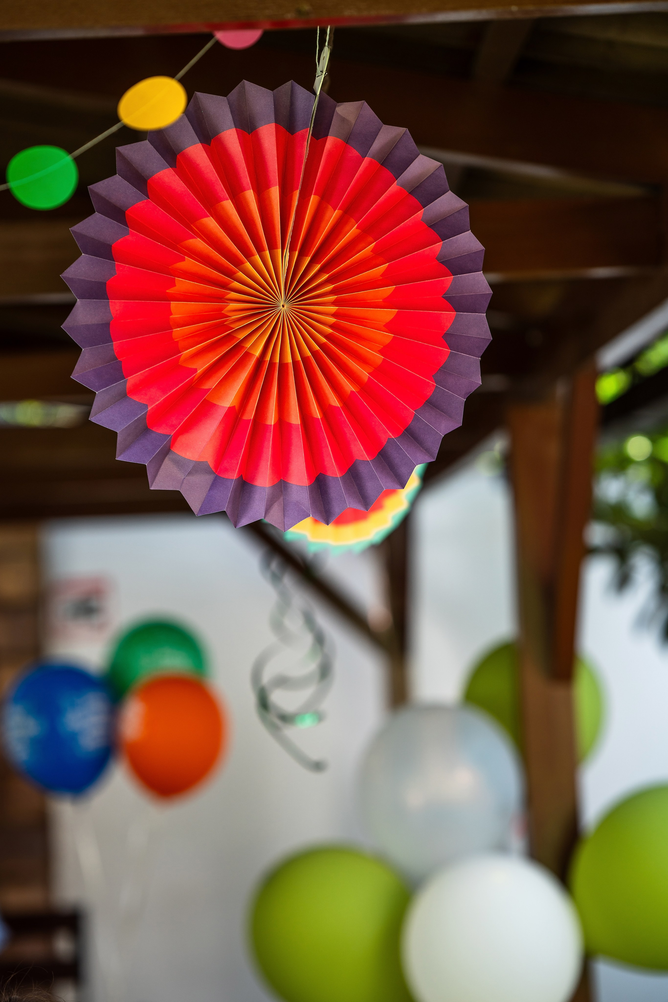 Фотограф сочи на день рождения. Фотограф Сочи