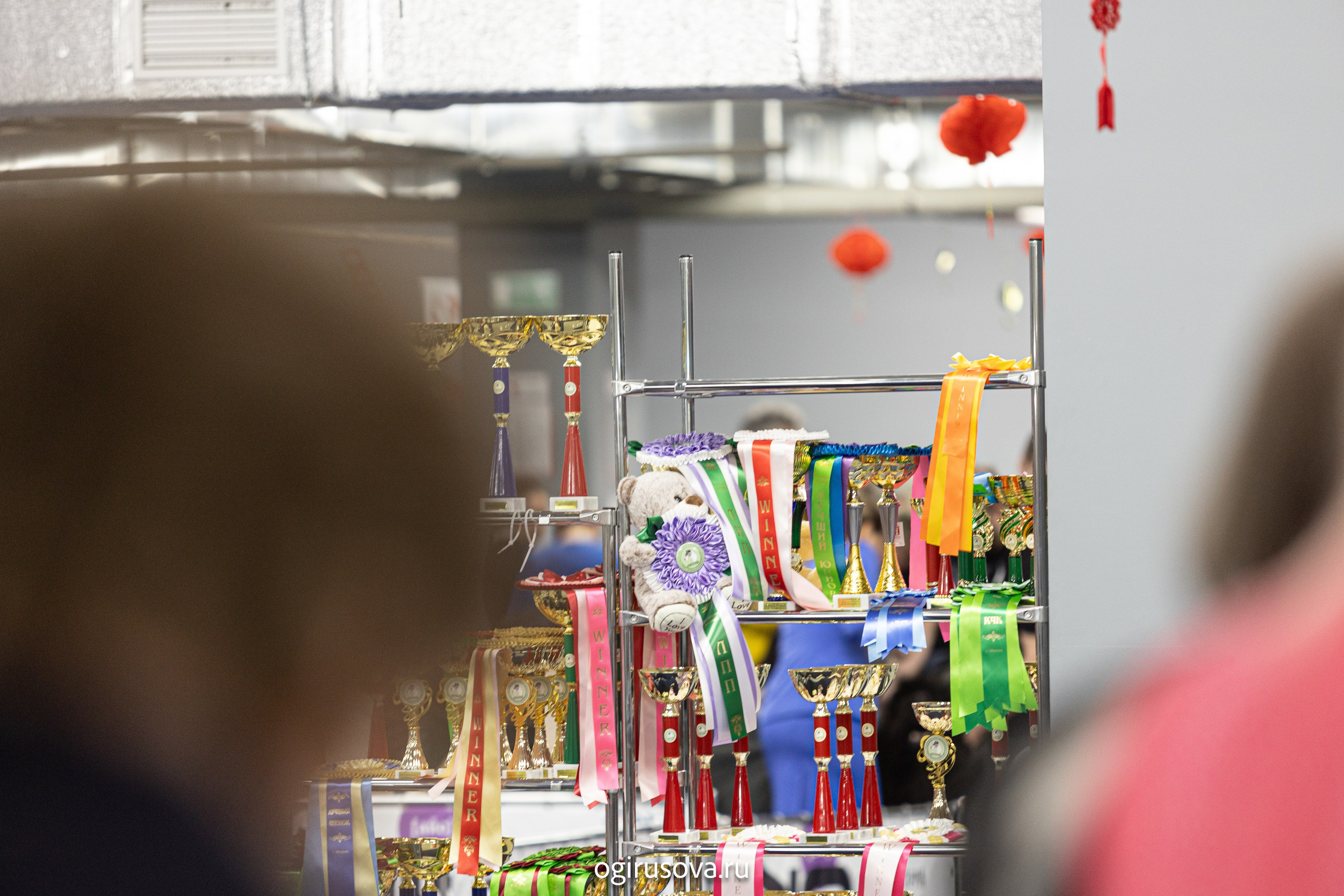 РОО КЛЖ «Олимп"+"Империя"+"Виктория».Выставка собак. Фотограф Ольга Гирусова «Пантерочка» Москва