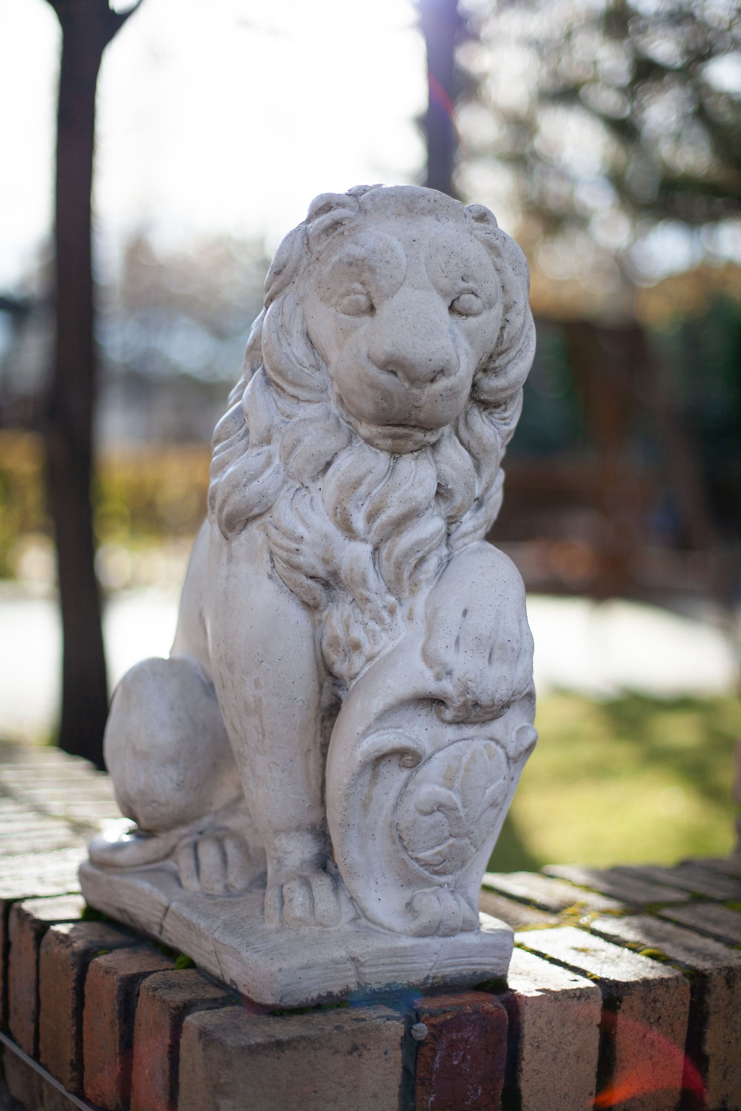 Сады Мечты. Контент для сайта. Фотограф Дарья Локотко в Красноярске