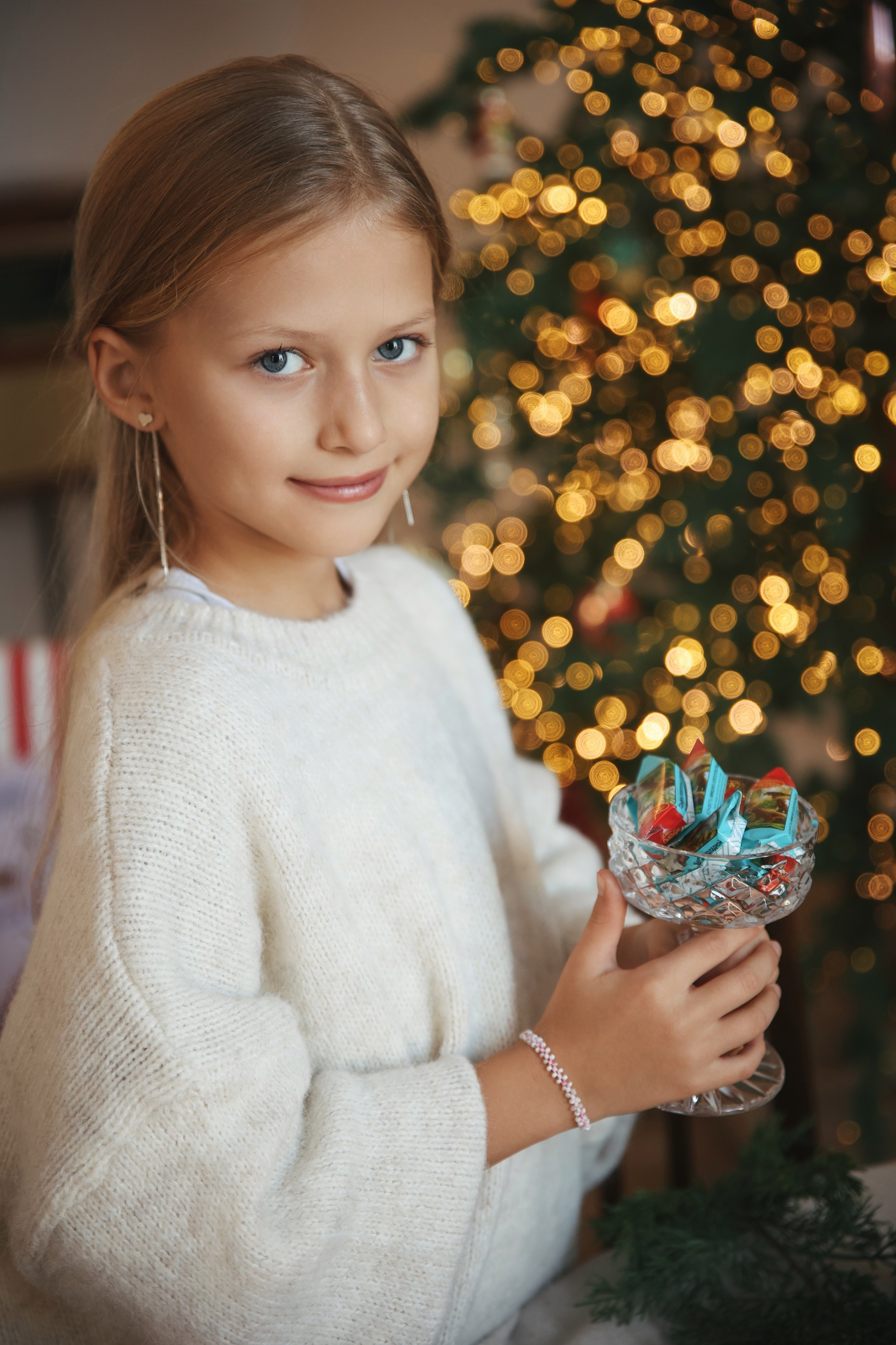 Новогодняя фотосессия во Владимире съемка на новый год фотосессия в студии фотограф во Владимире фотограф в Москве корги. Фотограф Владимир Москва