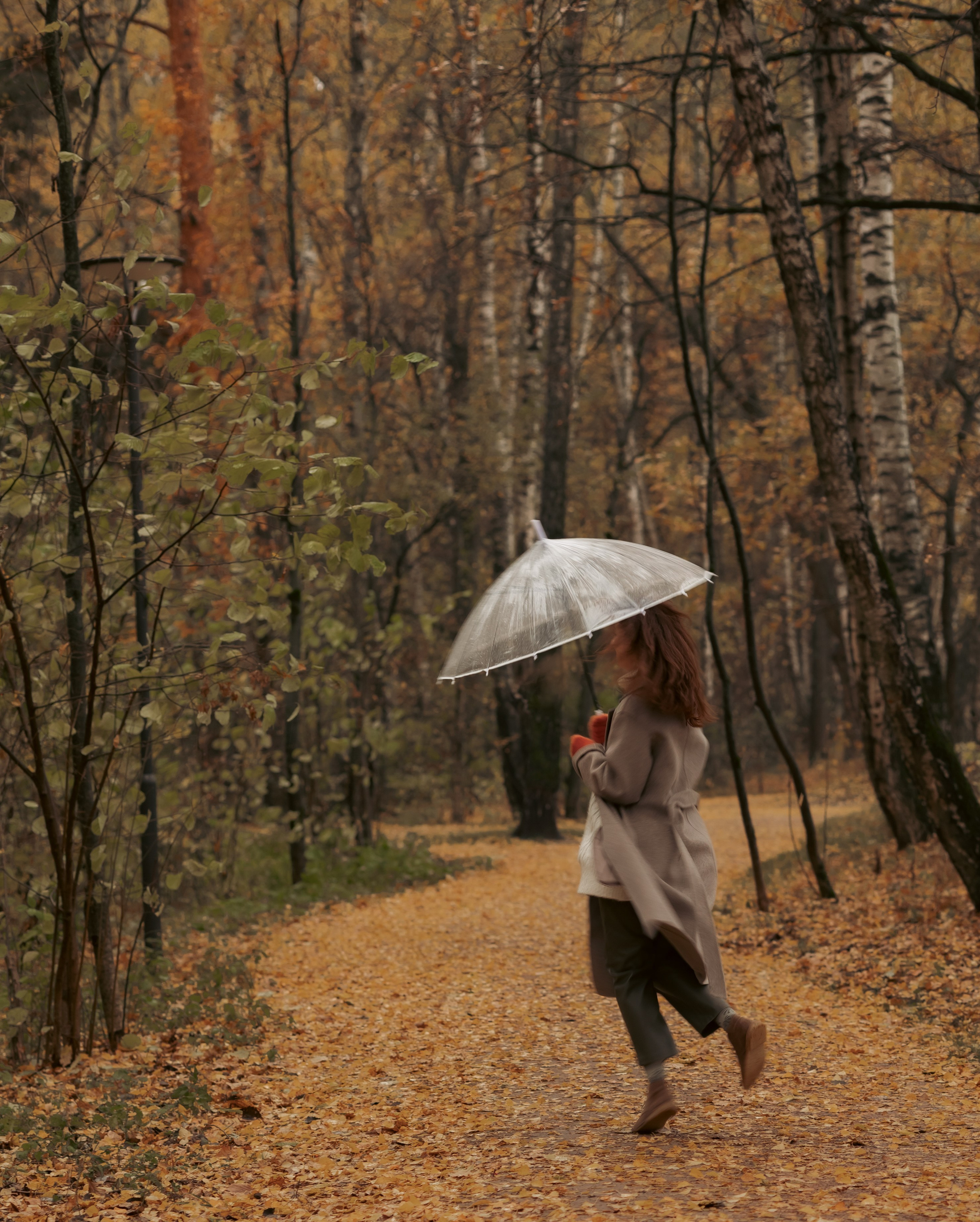 Индивидуальные фотосессии. Фотограф Антонина Знак. Семейные фотосессии. Москва и МО