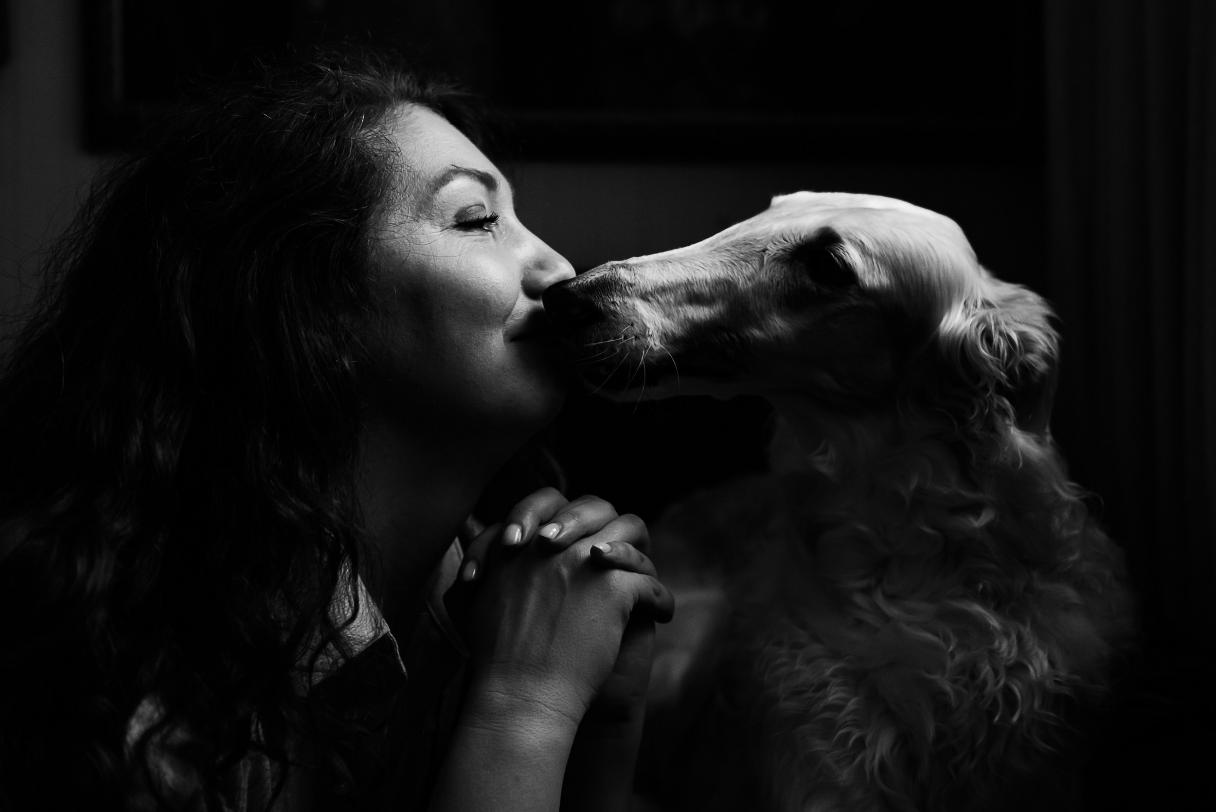 Квартира с картинами. Алиса, Андрей и их пушистая семья. Семейный Фотограф в Москве Ирина Хохлова