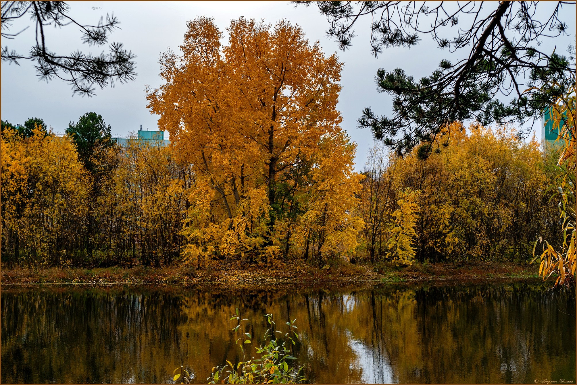 Красота. Фотограф в Сургуте Евгений Бармин