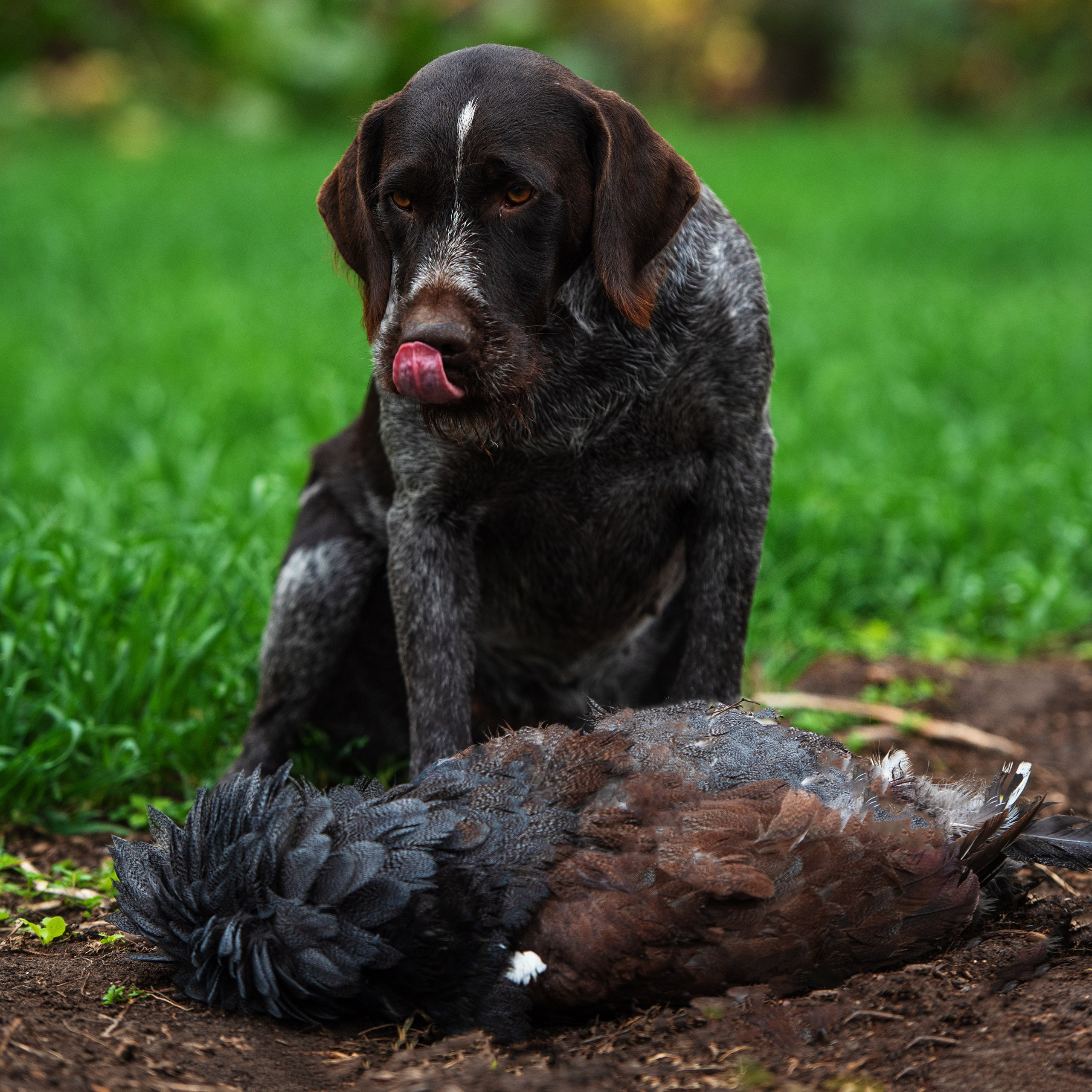 Фотографии. Главная