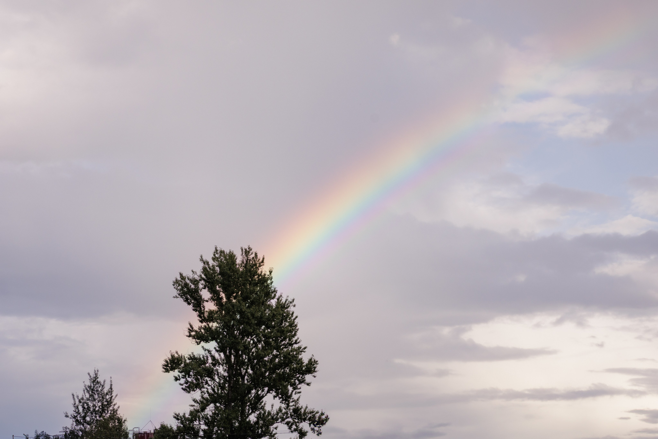 Детские праздники. Мария Жук — свадебный и репортажный фотограф в Москве