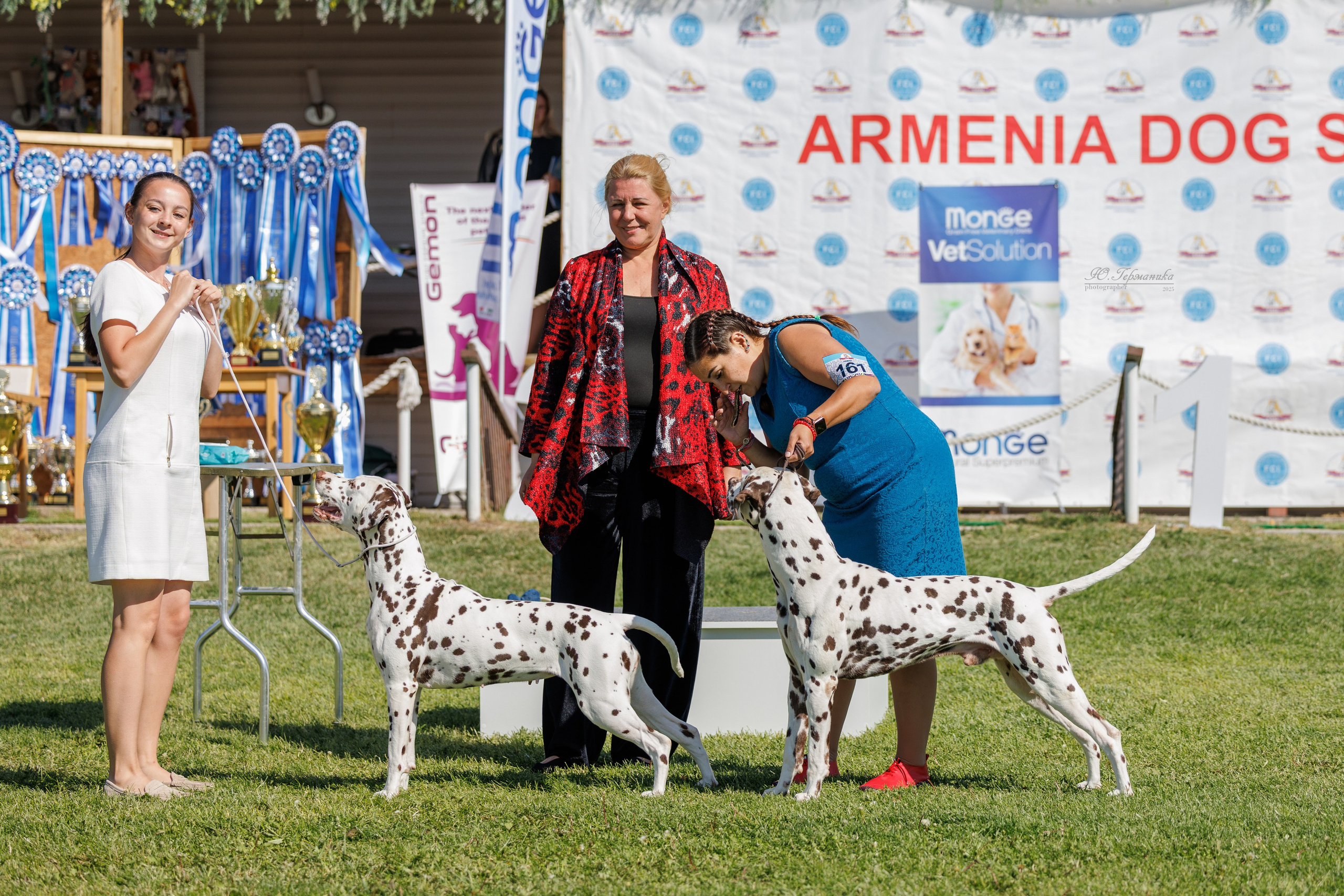 Ереван 14-16.10.2025. Фотограф-анималист Юлия Германика