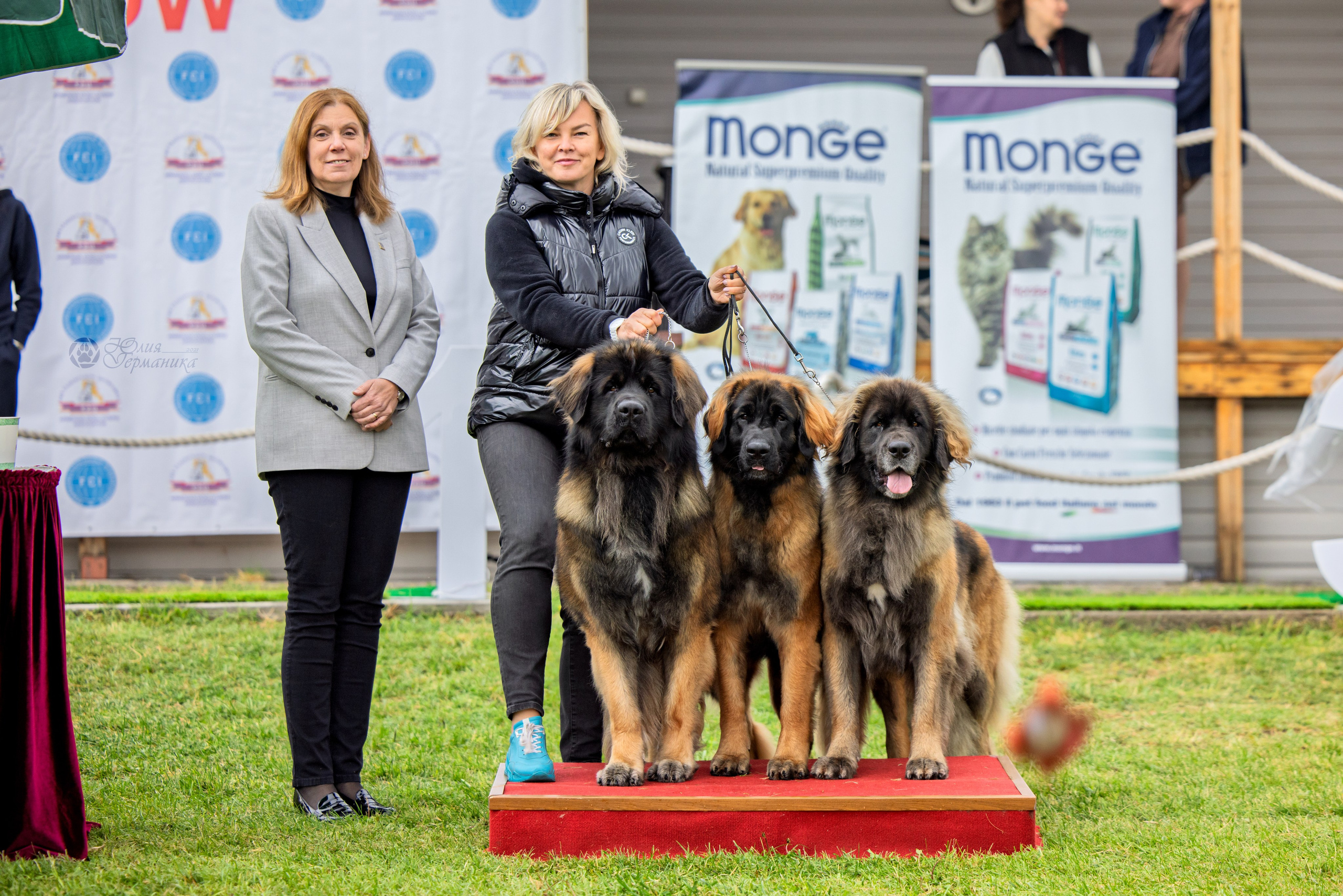 Армения,Ереван 3хCACIB 15-17.10.2024. Фотограф-анималист Юлия Германика