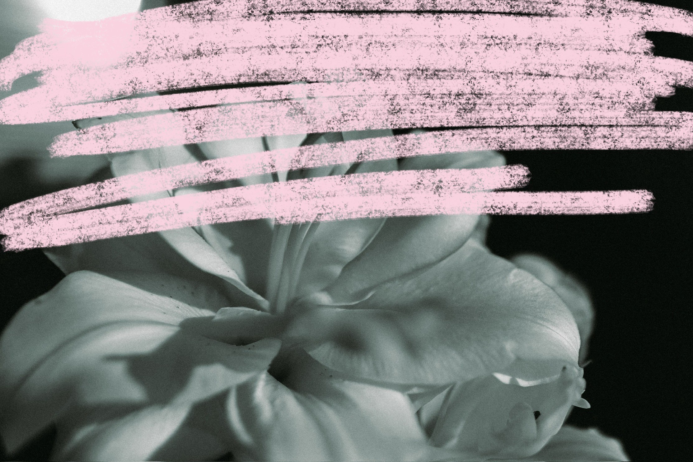 Картинки с каракулями. Саша Кушнерова Фотографии. Sasha Kushnerova Photos