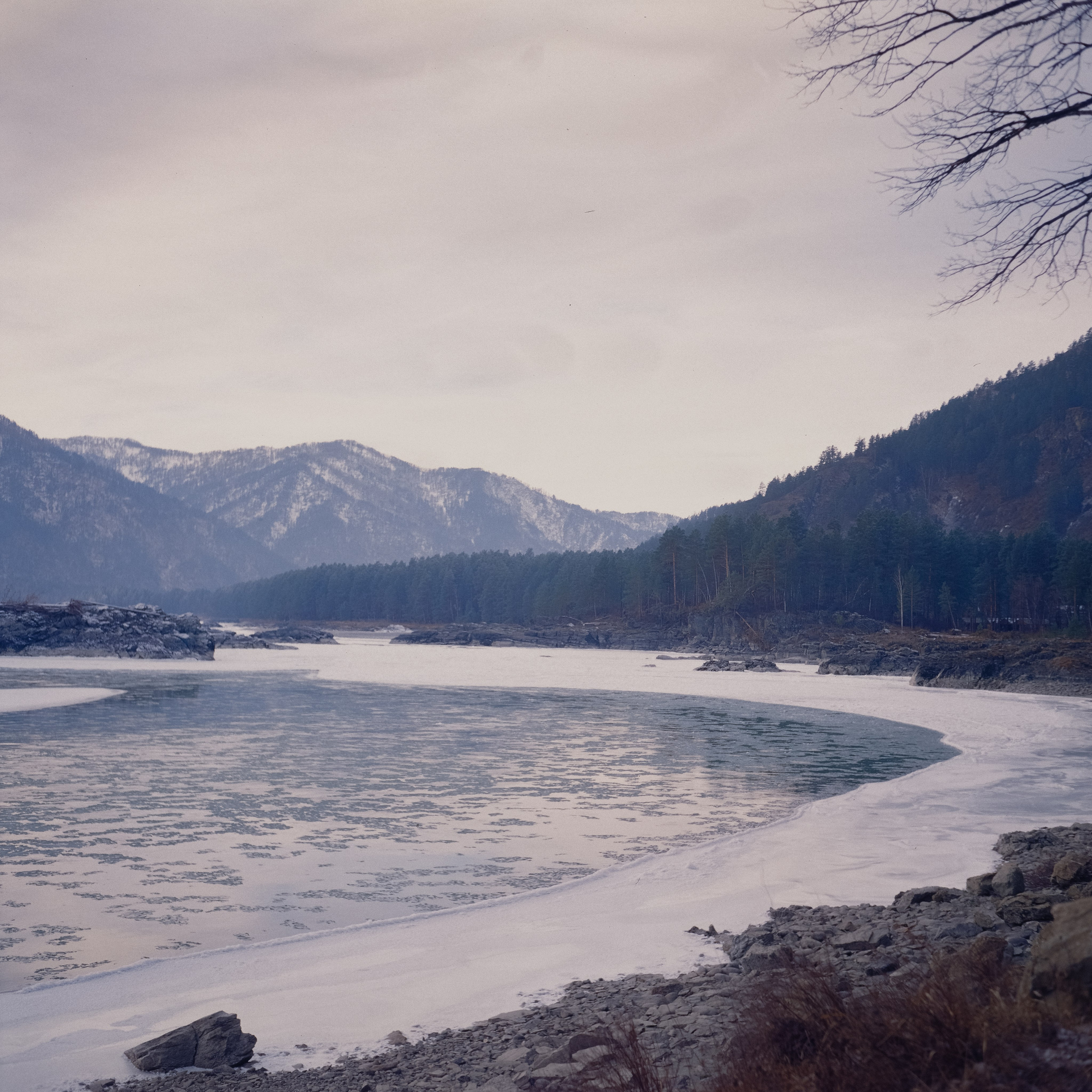 База Сила Алтая / 16 декабря 2023 года (-18℃)  / Kodak Ektachrome 100V