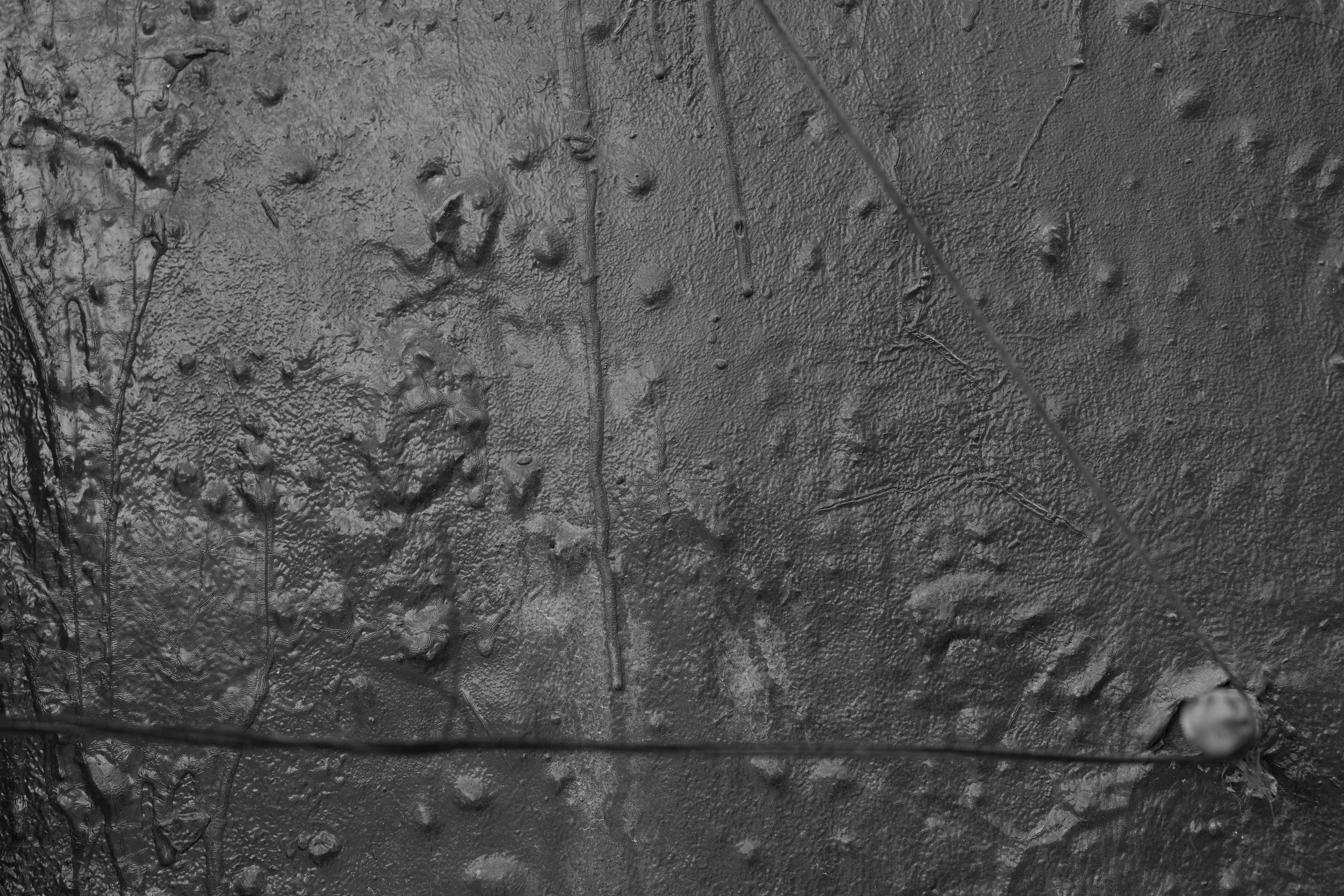 Art prints. Фотограф алина стерхова, алина стерхова фотограф, фотограф москва