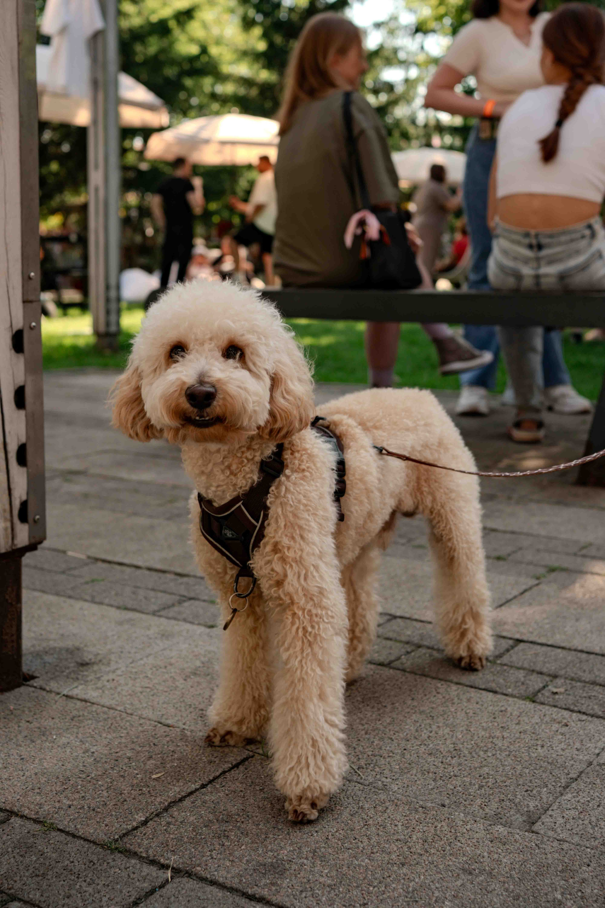 Репортажные и другие. Фотограф в Красноярске Евгения Дозорцева (Ахиезер)