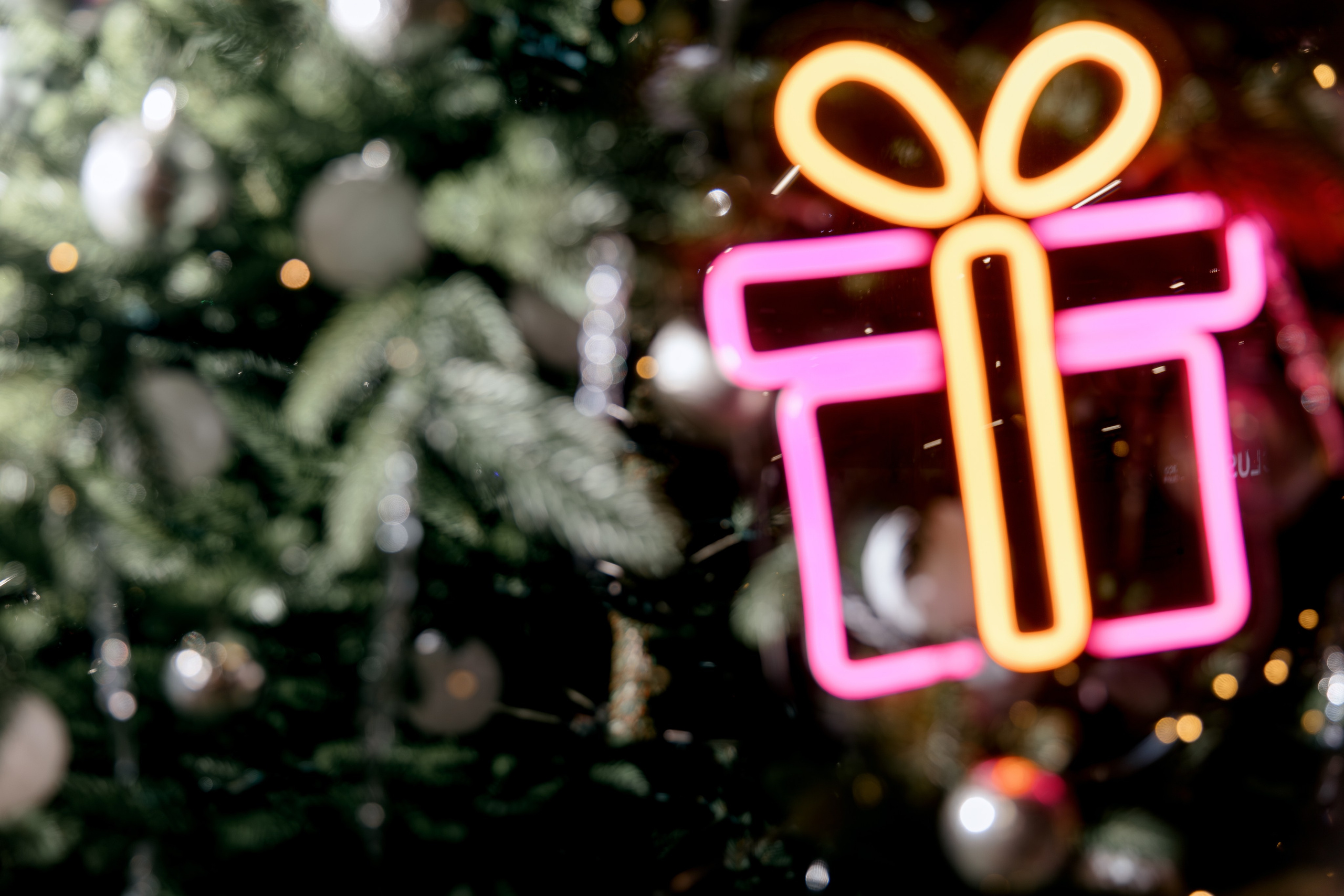 GRANDE PIANO. Фотограф в Красноярске