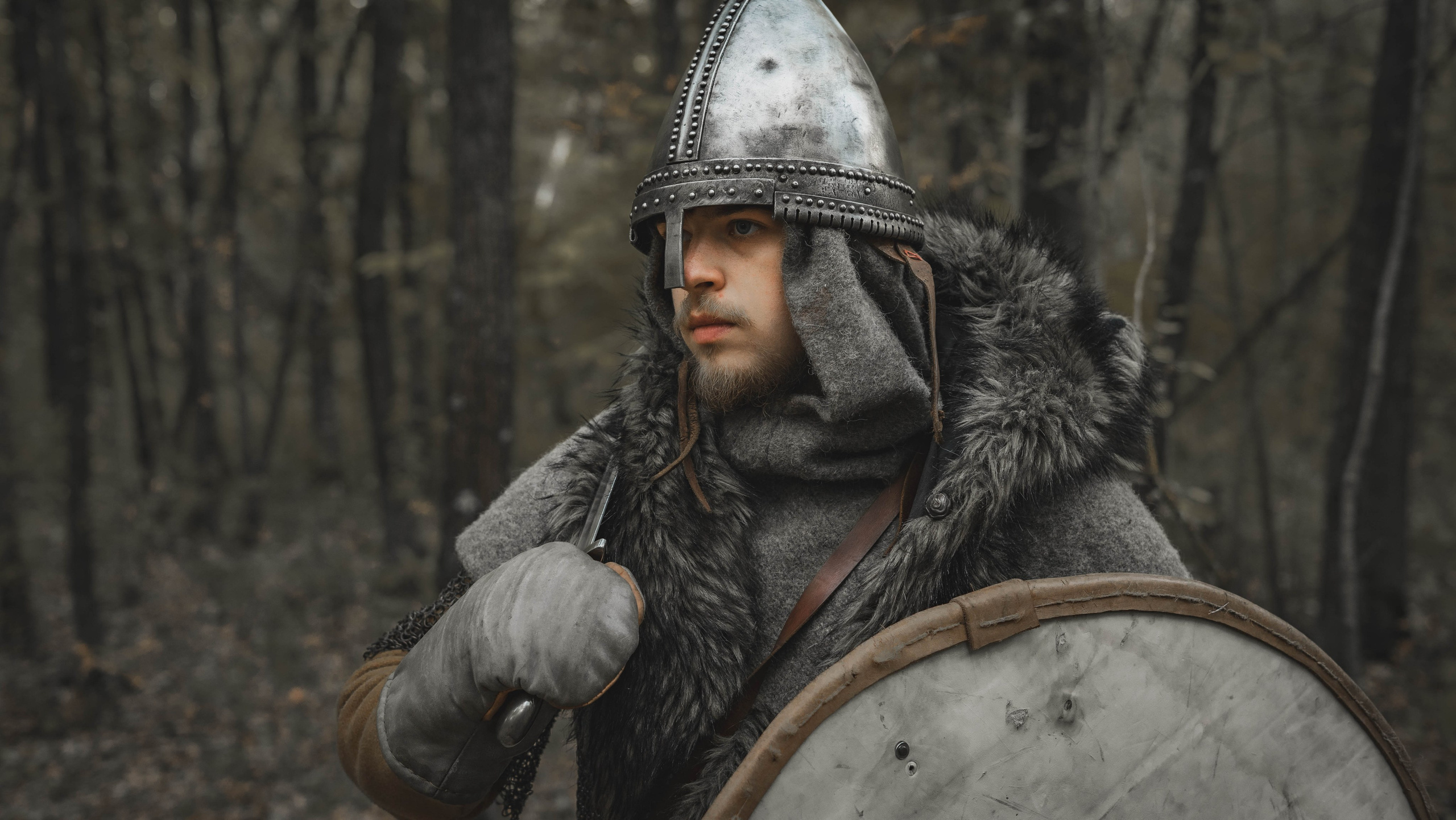 Викинг. Ab extra