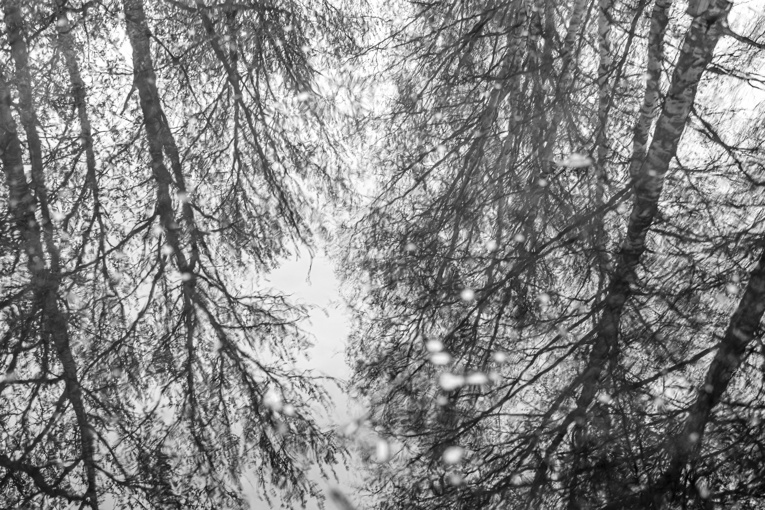 Непривычная фотография. Репортажный и портретный фотограф в Москве Саханцева Анна