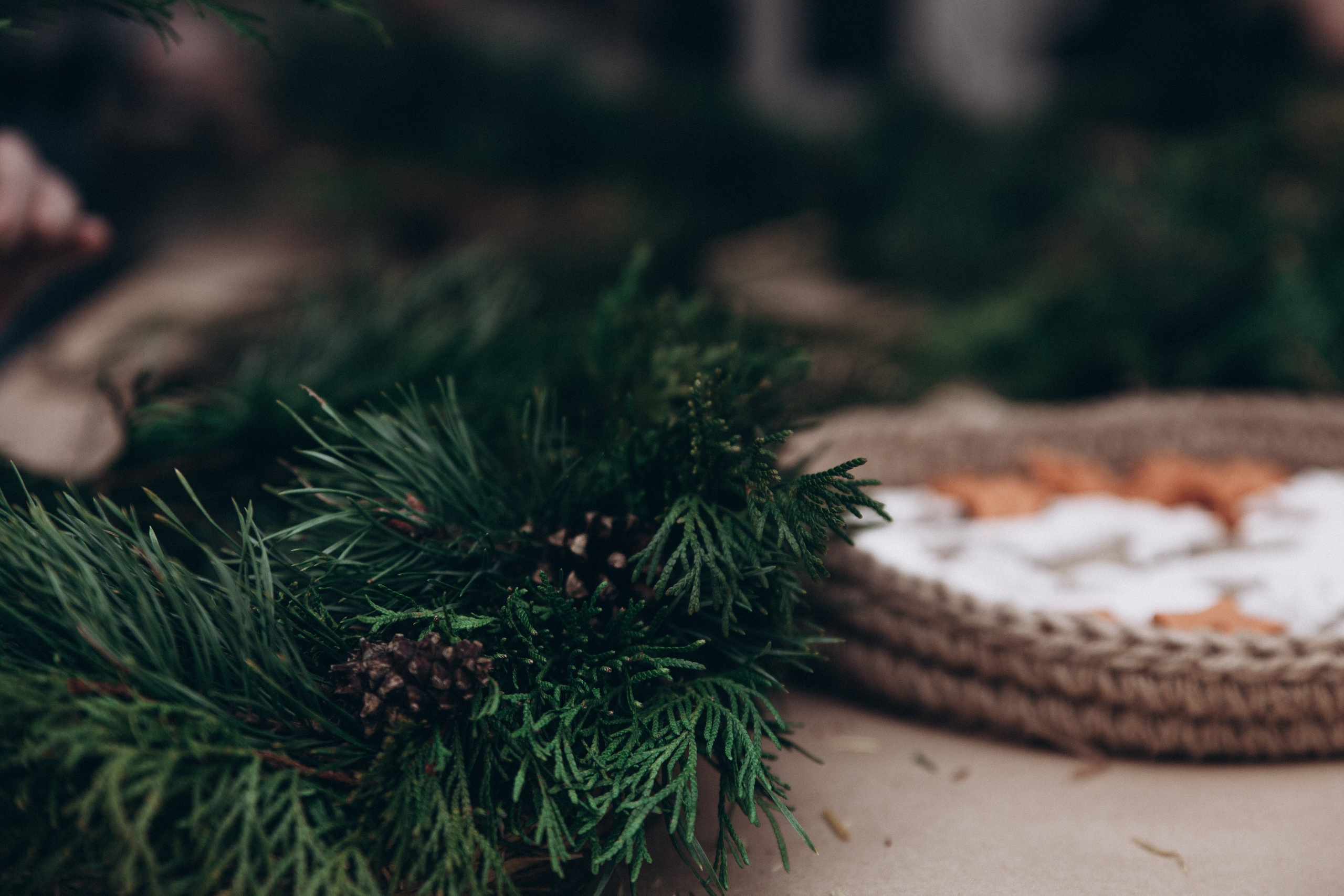 Рождественский мастер-класс. Репортажный и детский фотограф в Минске