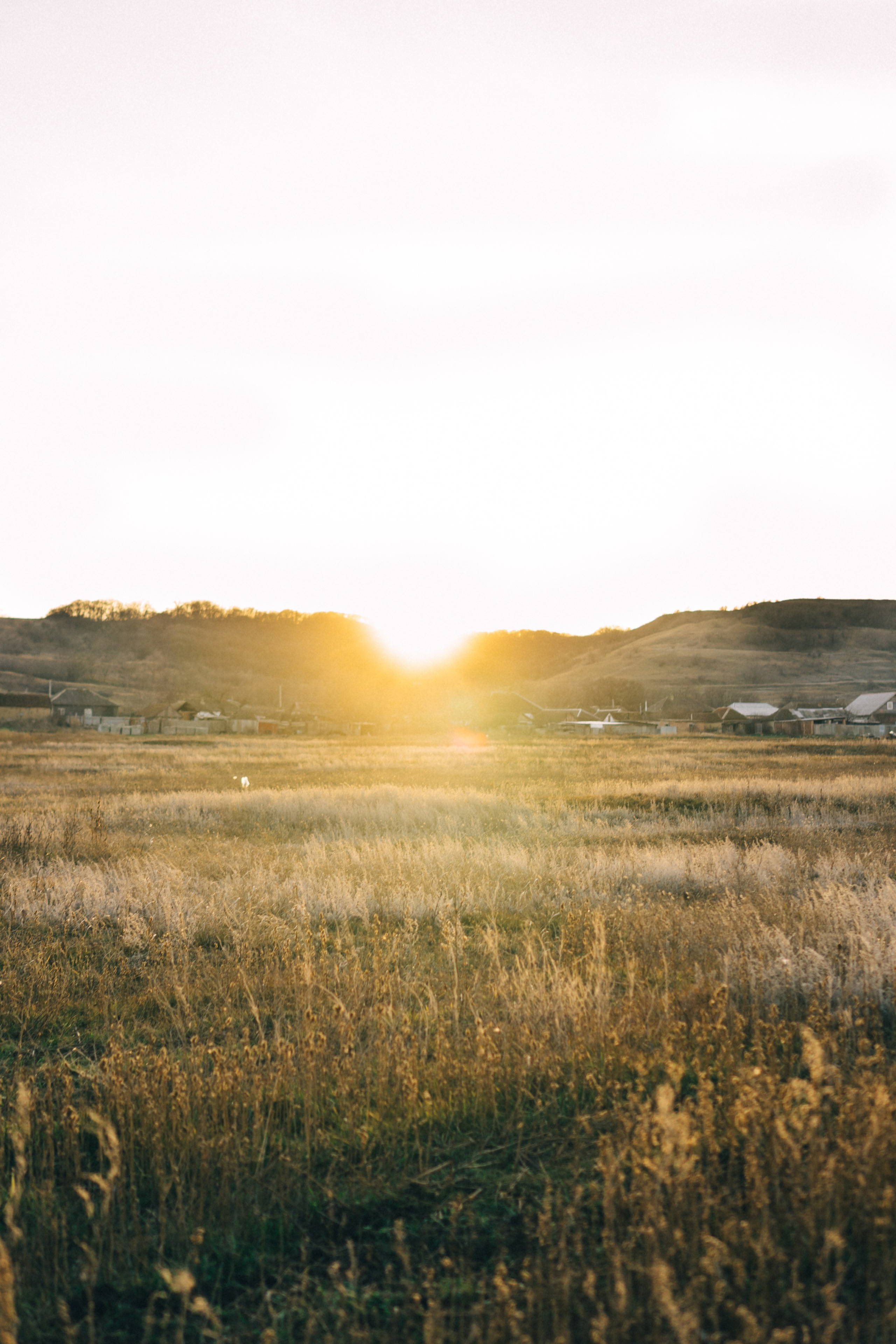 Эта история про детство. Семейный фотограф в Москве Ирина Жур