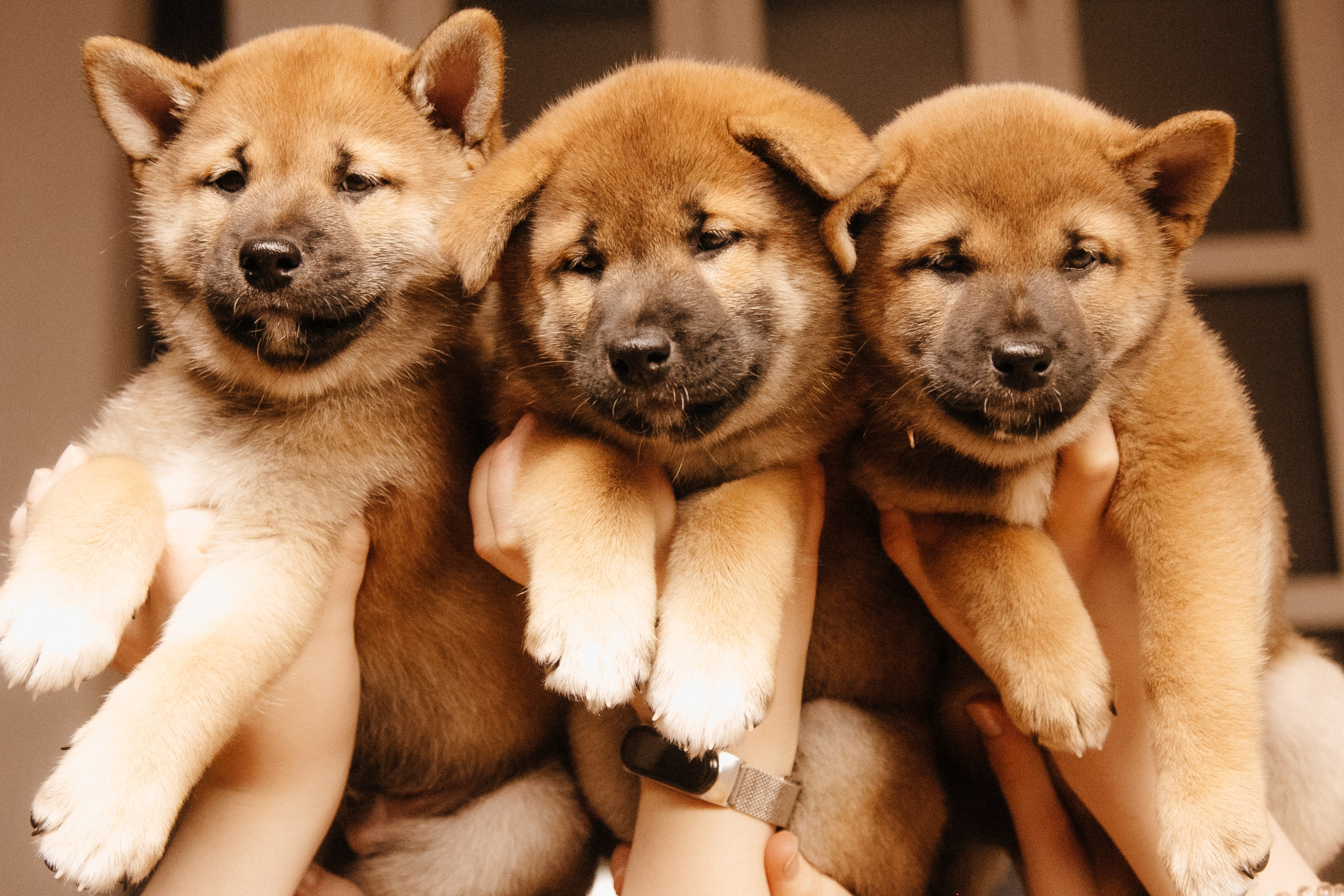 LOVE. Семейный фотограф Казань Никита Федин