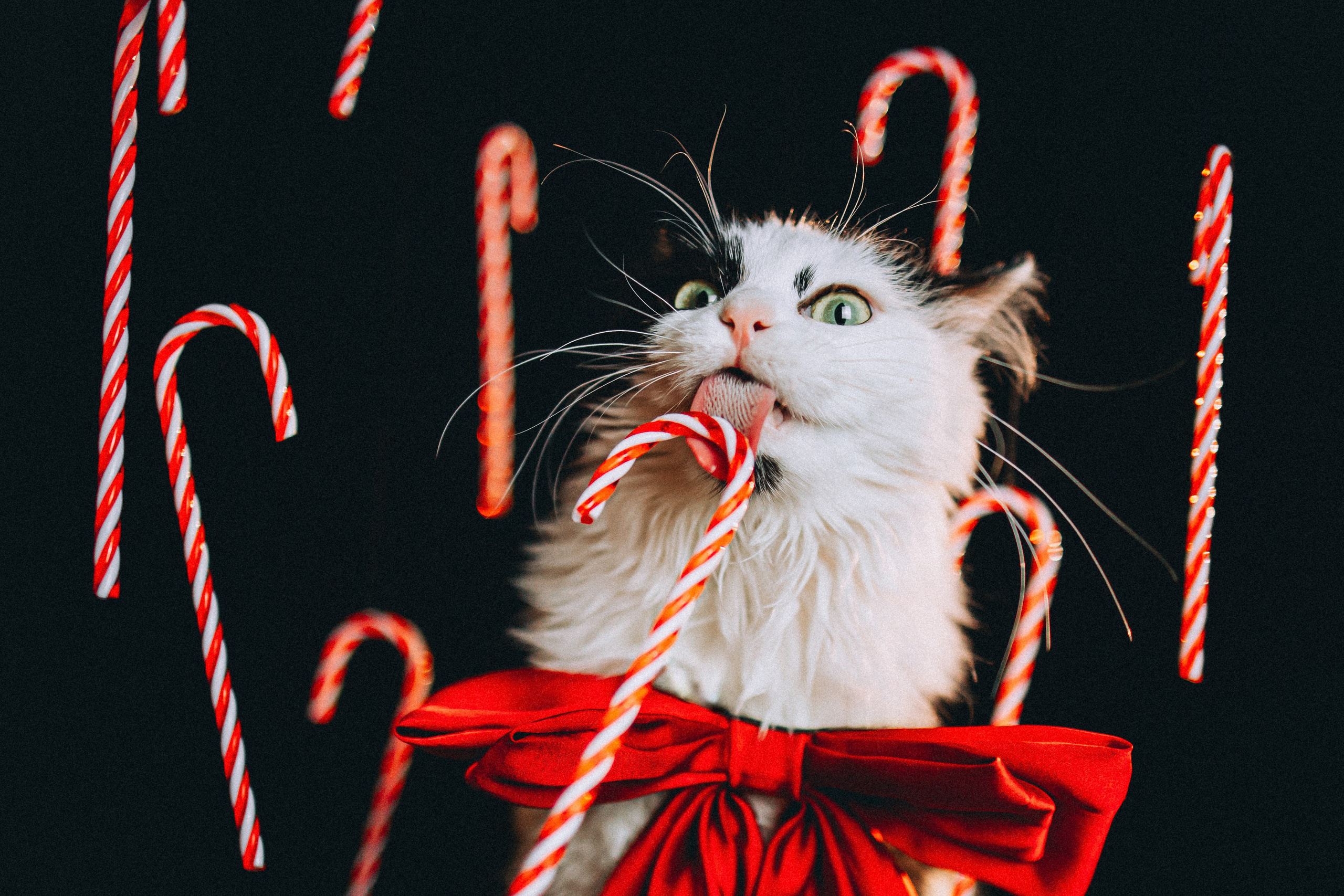 Джек, Бет и Кову